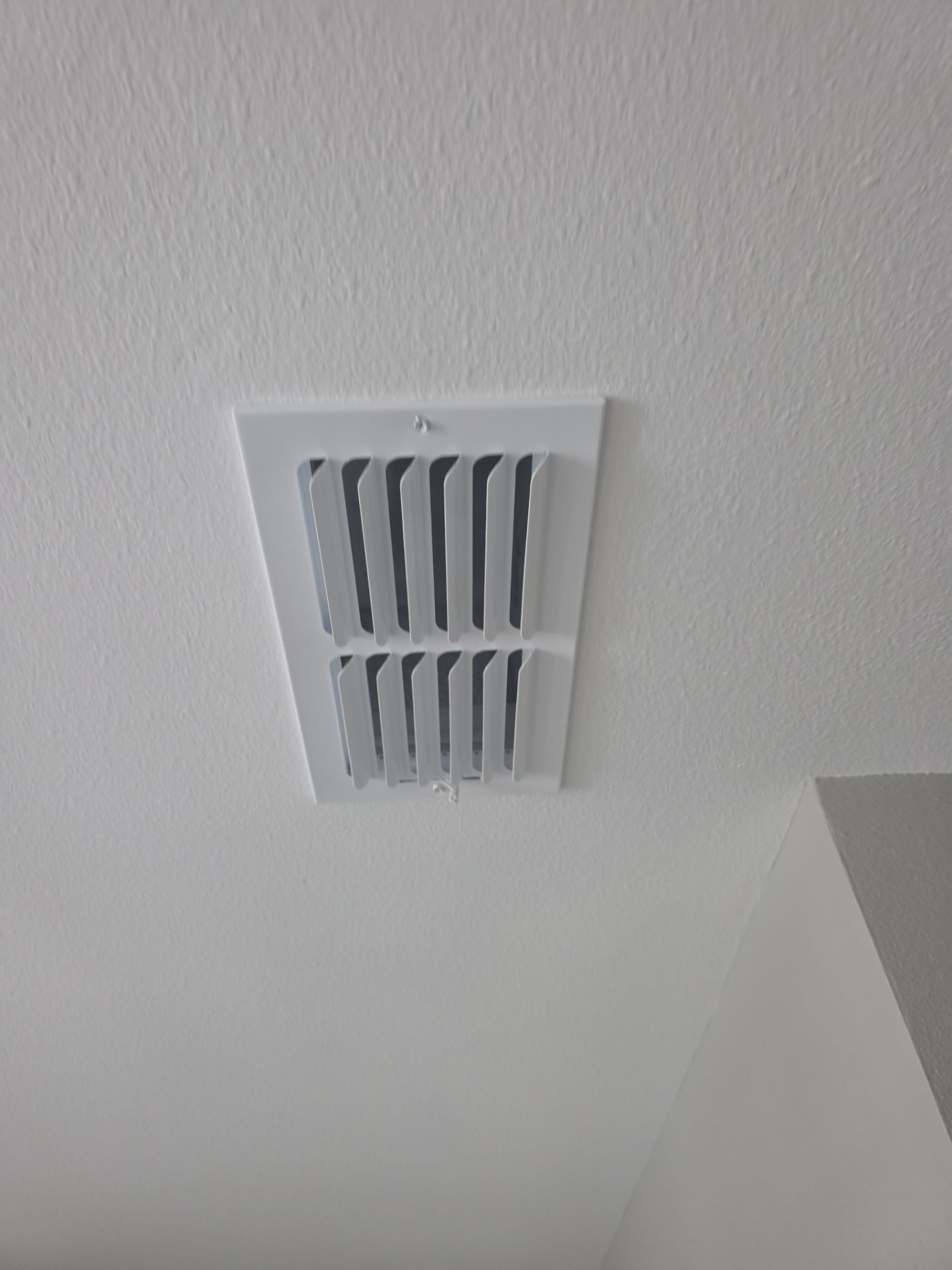 Air Duct Cleaning in Clermont by Hygienic Air, Inc