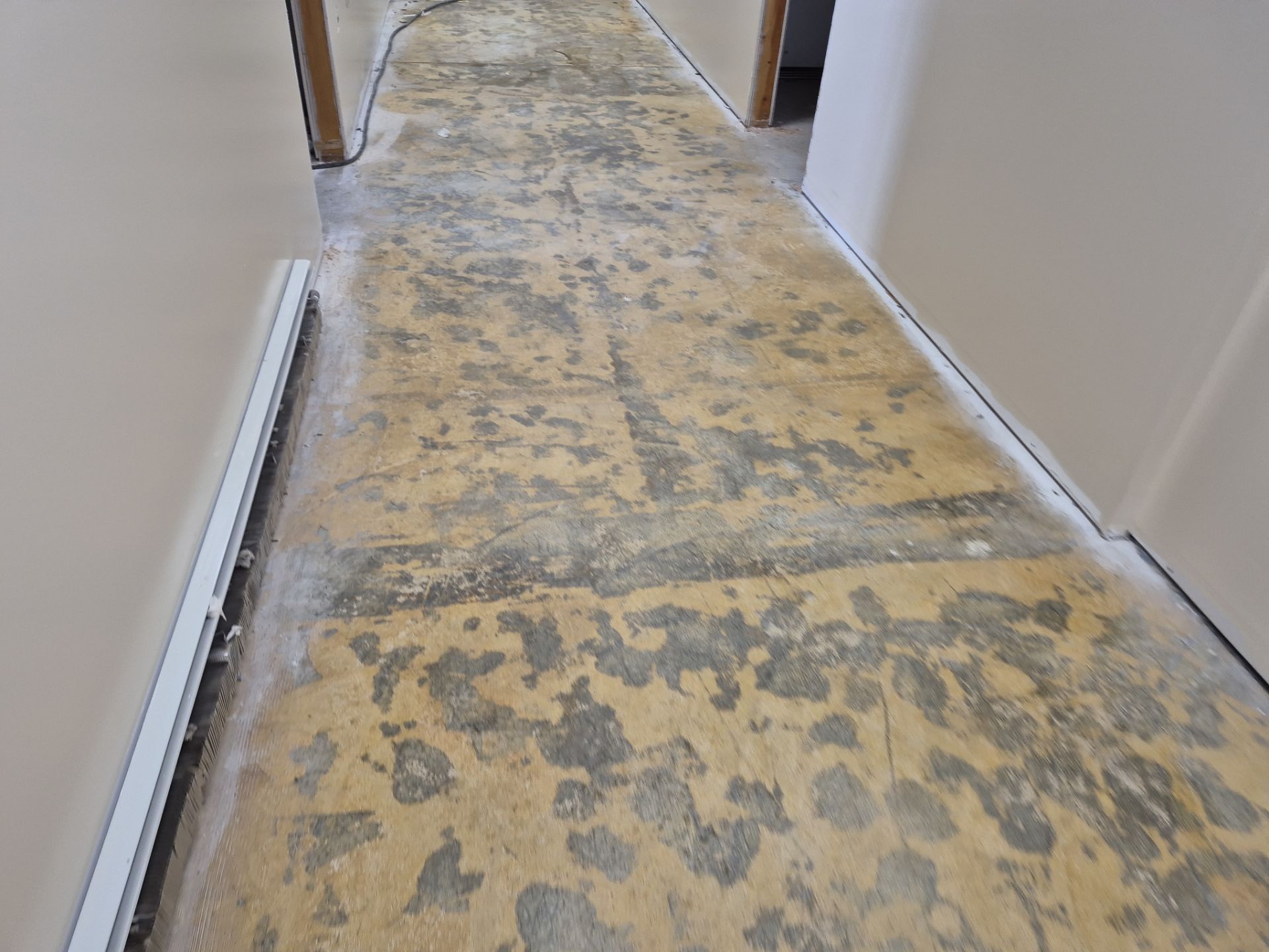 Project in Maple Rapids by Wise Coatings of Central Michigan