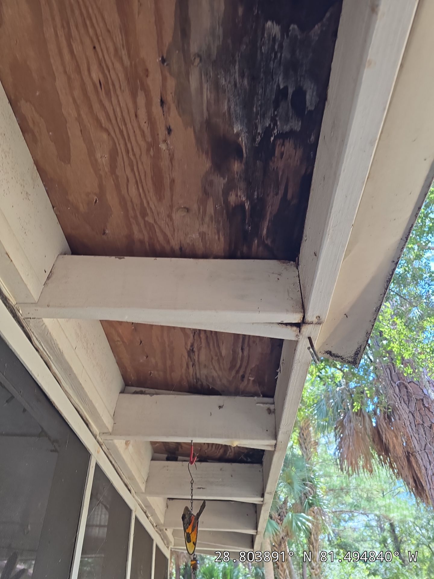 Sorrento Residential Fascia Repair and Soffit Wood Rot Restoration by Fortified Roofing Solutions Corp.