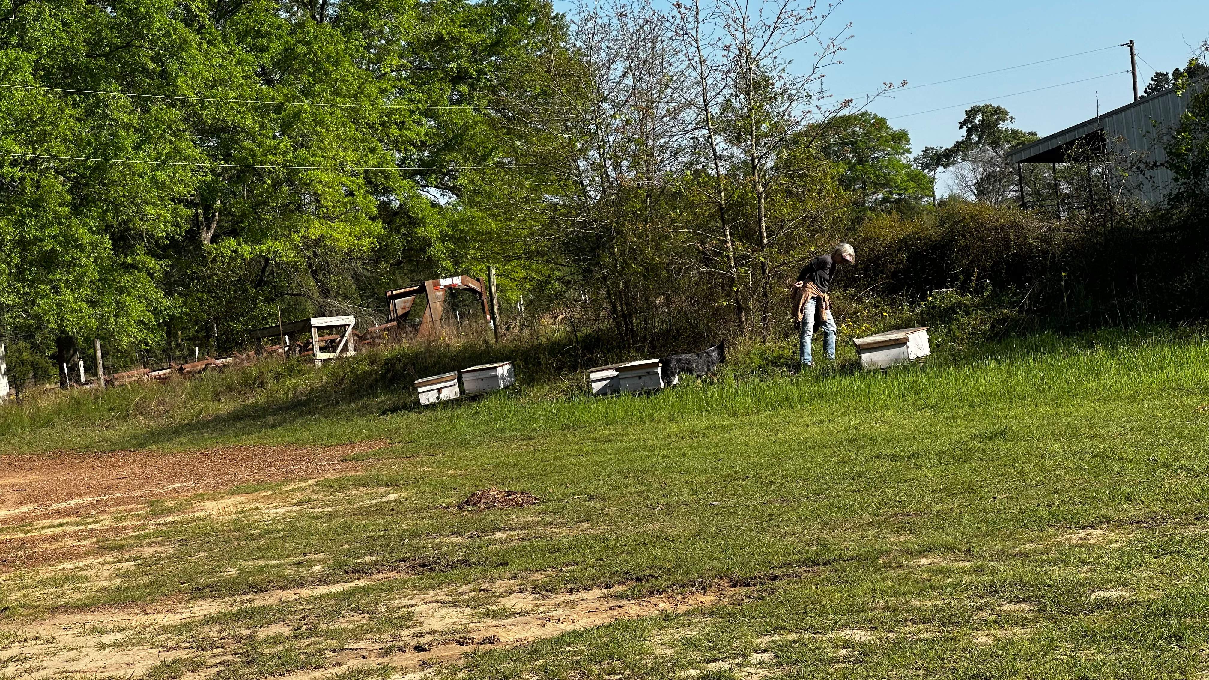 BeeGirl ETX HQ by Rockwall Honey Bee Company