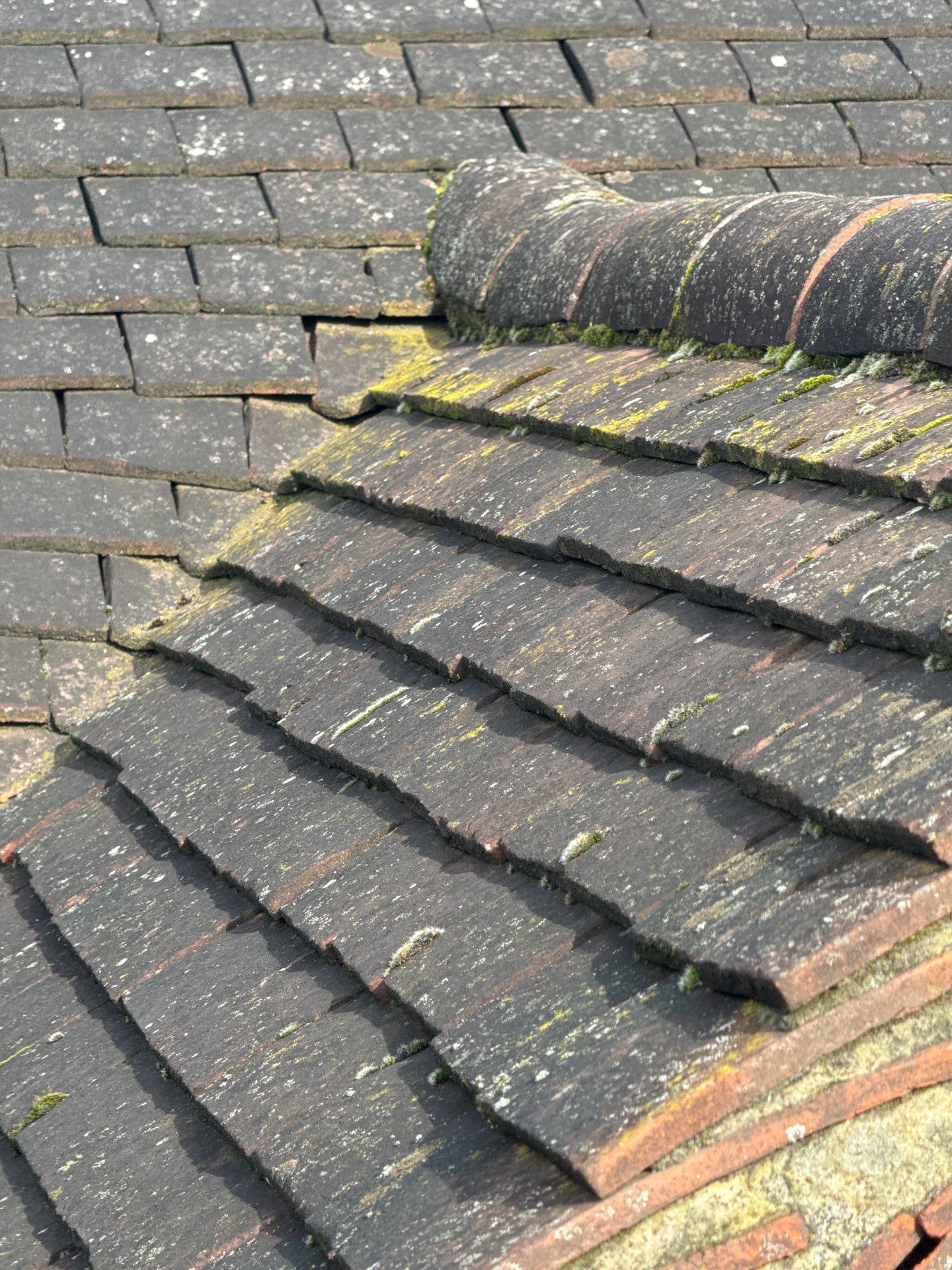 Exterior Clean - Roof - Patio - Driveway using Mosmatic FSC and Biocide by Ges Exterior Cleaning ltd