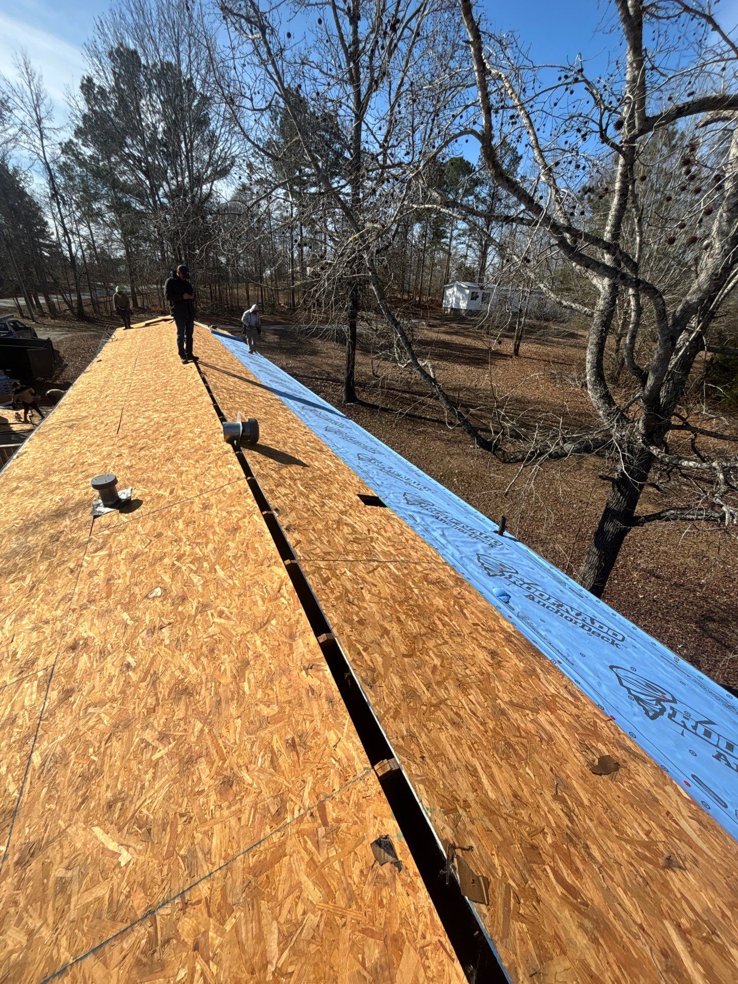 Roof Replacement in Waterloo, SC | New CertainTeed XT 25 Nickel Gray Shingles by Roofers LLC