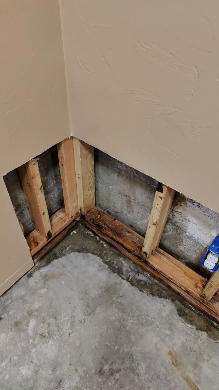 Water Damage and Mold Remediation by Accountable Home Services