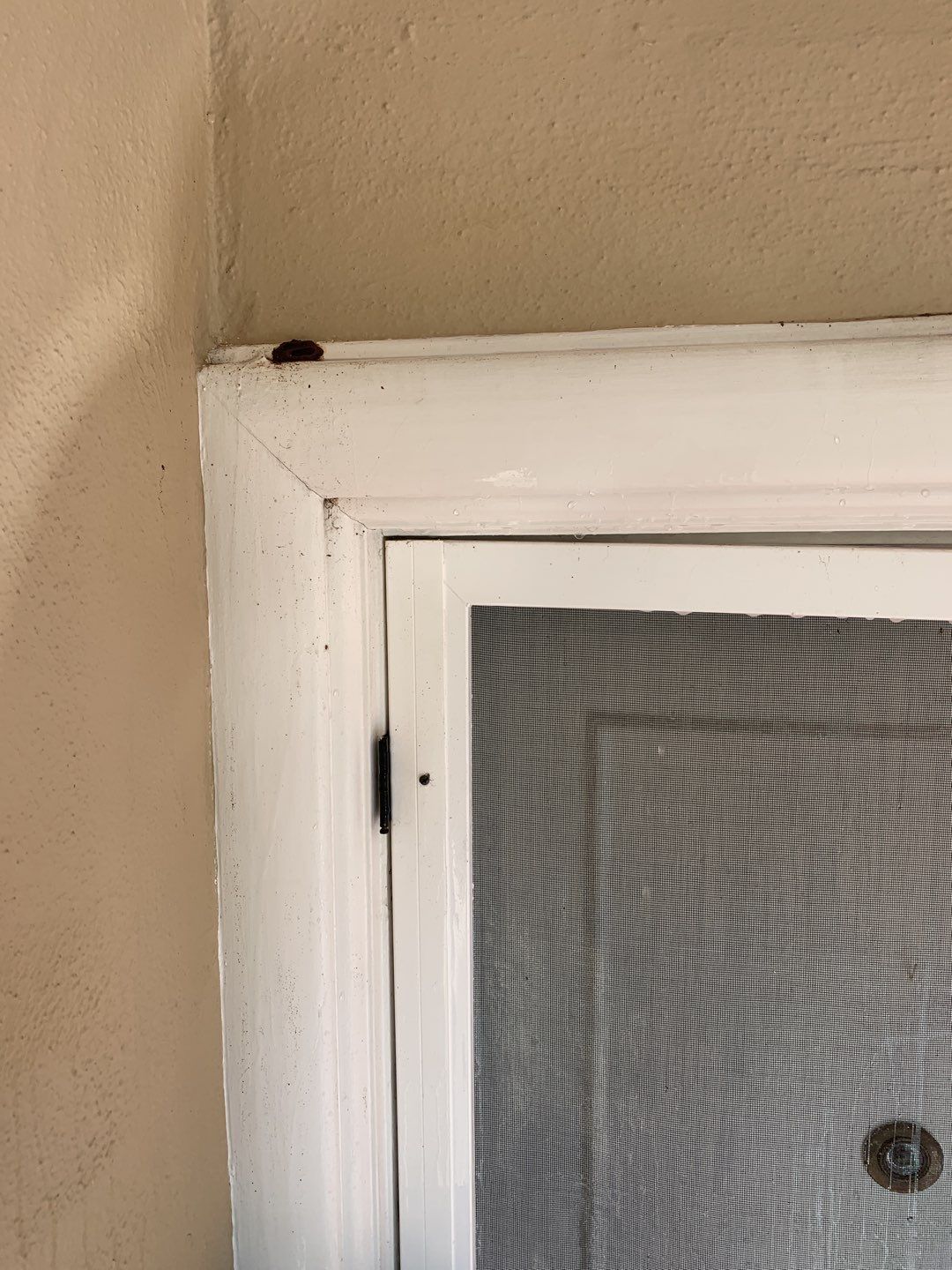 Joyce Schleicher Window Clean by SpotFree Window Cleaning