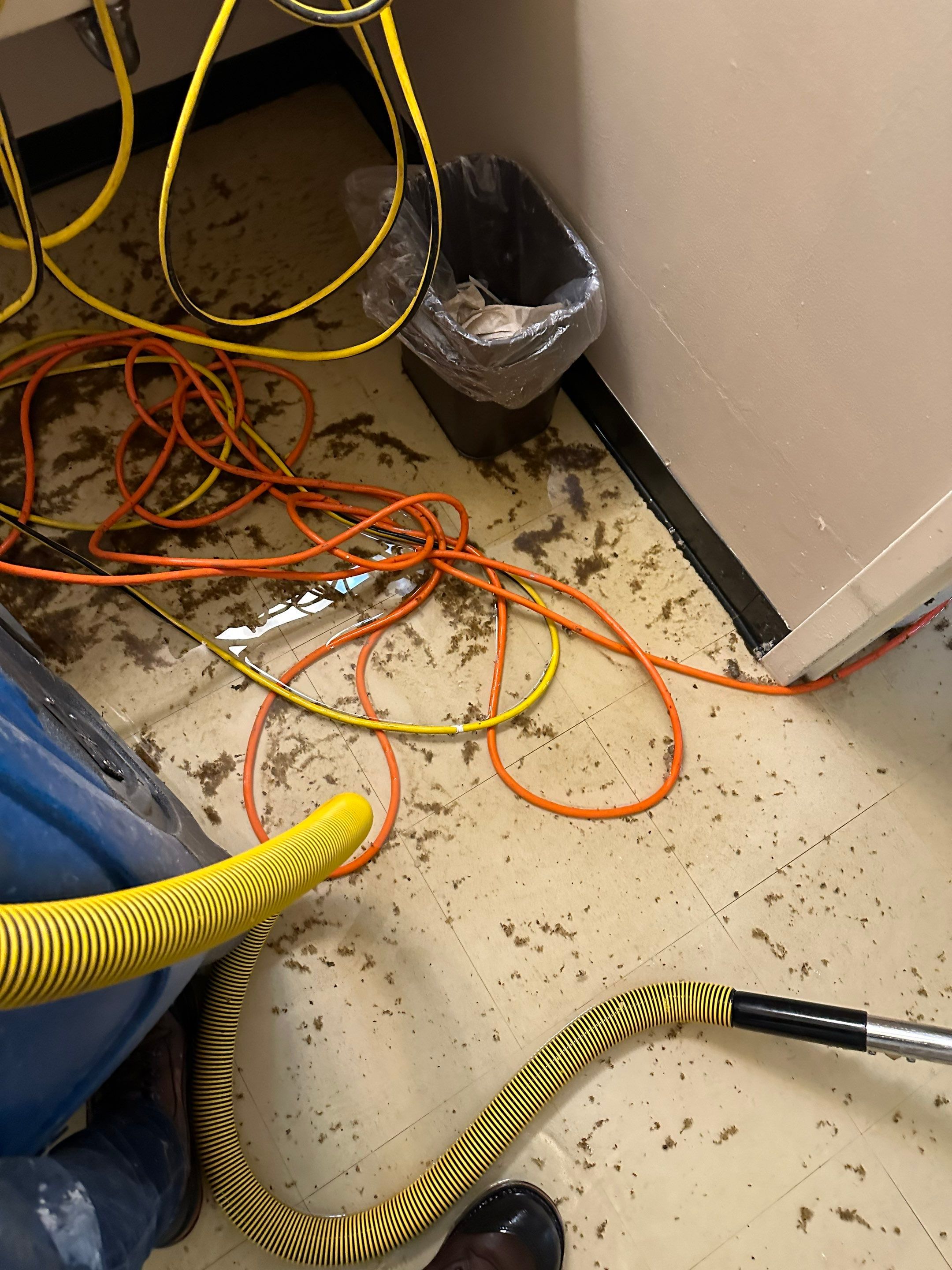 LCCR by BlueRed Restoration