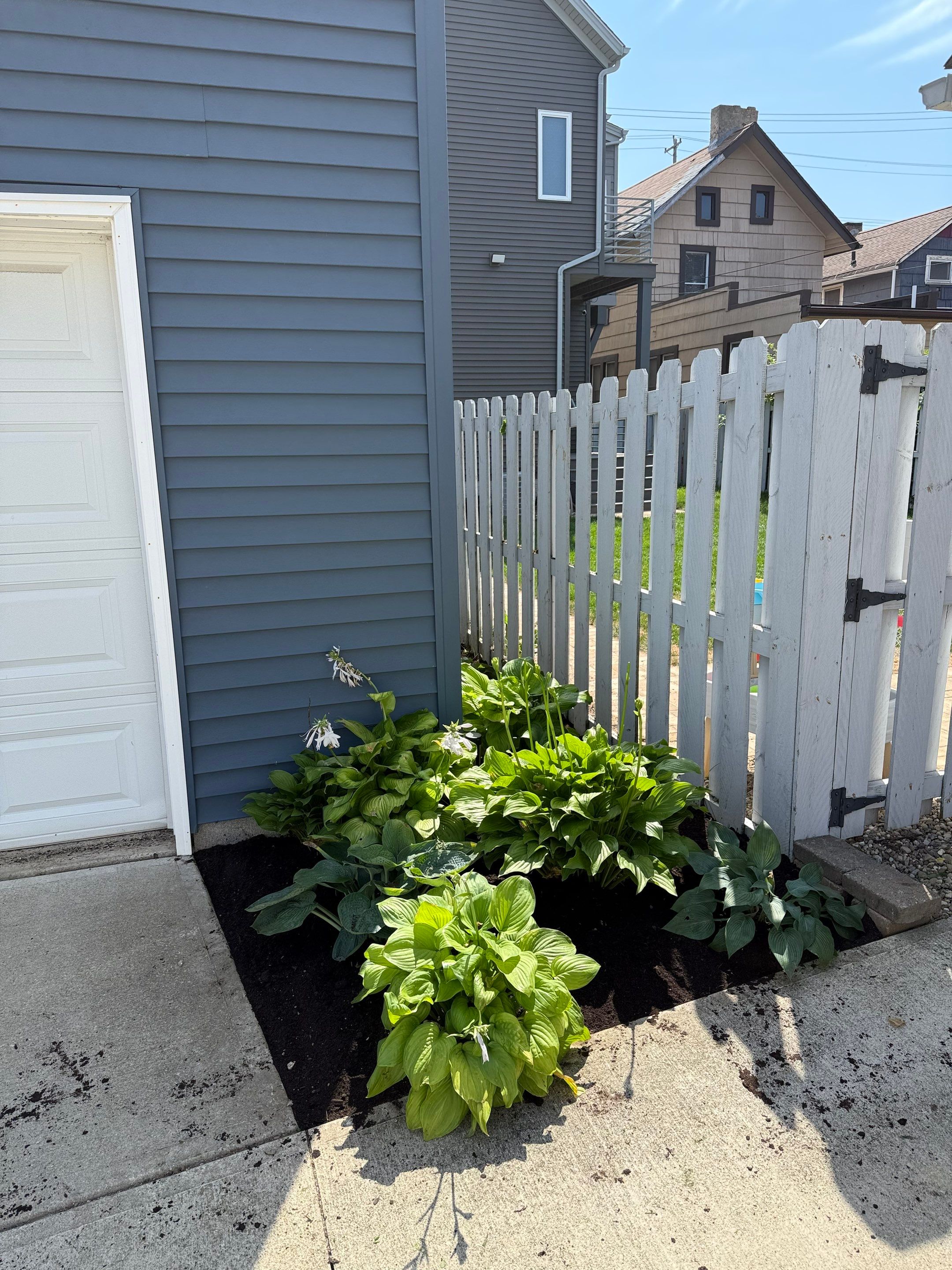 Sale Ready Maintenance by Elm Rose Gardens