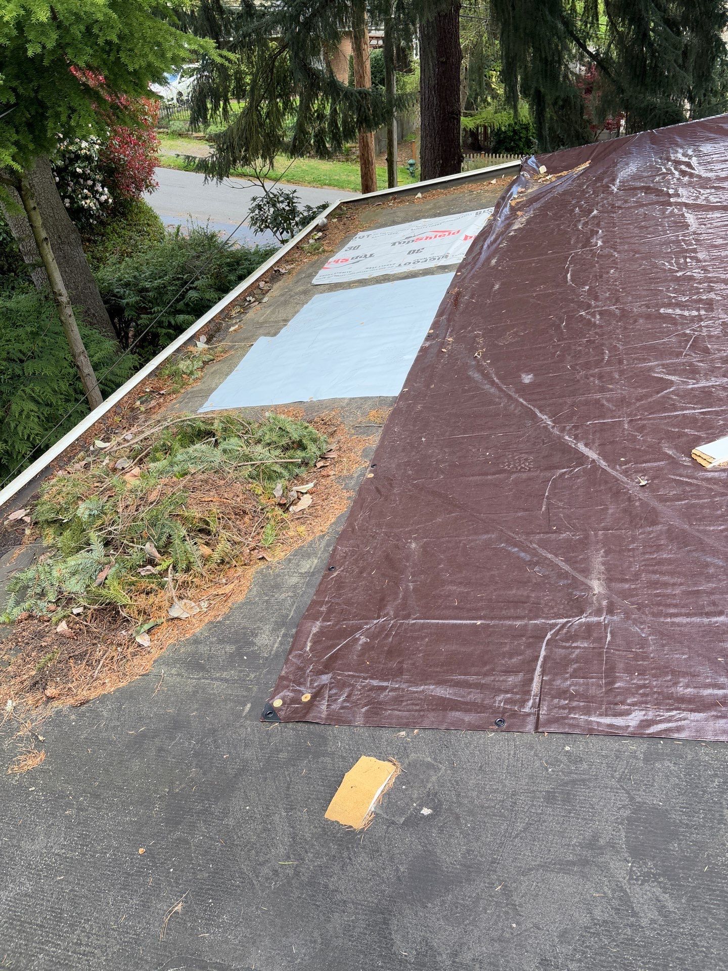 Seattle WA, GAF Everguard TPO  by Proline Roofing & Restoration LLC