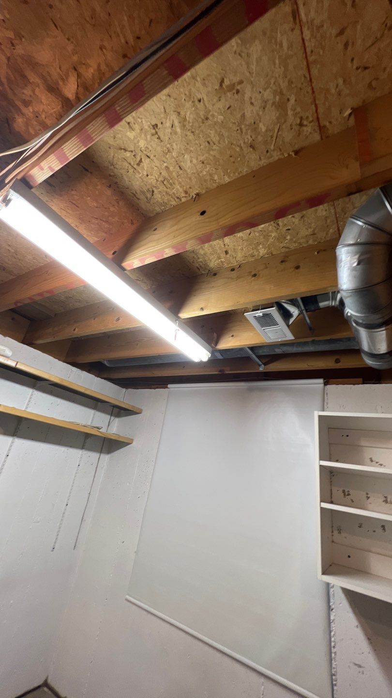 Mold Damage by Accountable Home Services