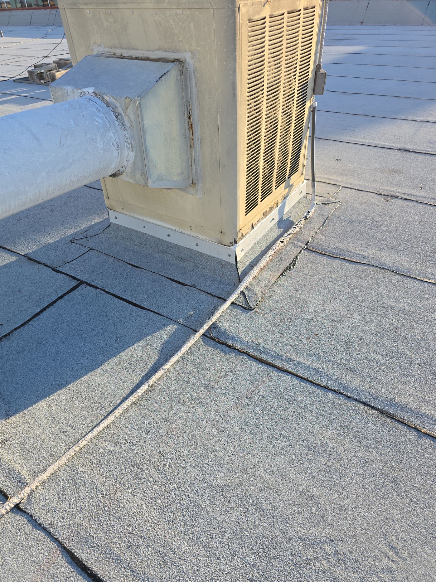 Torch Applied Modified Bitumen Roof Replacement by Sailfish Roofing