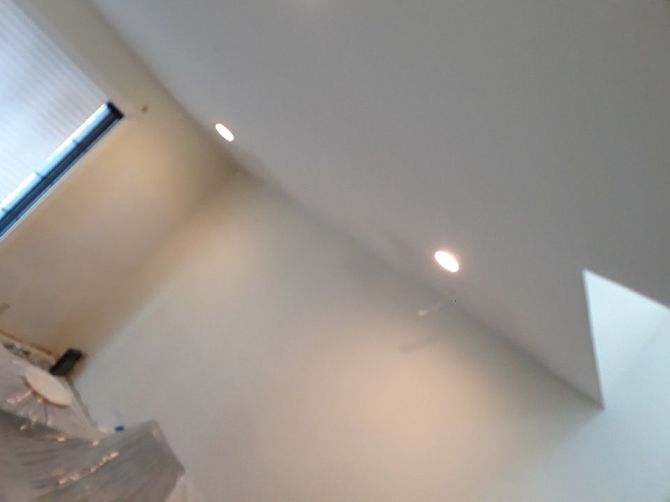 Home Renovation - Bucktown by Punch List