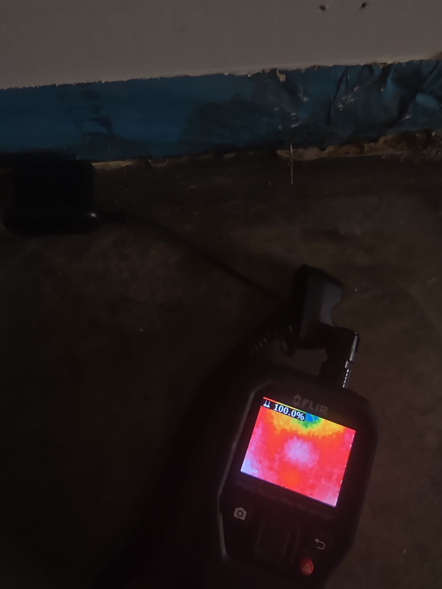 Anna and Allan Branch  by Service Restoration