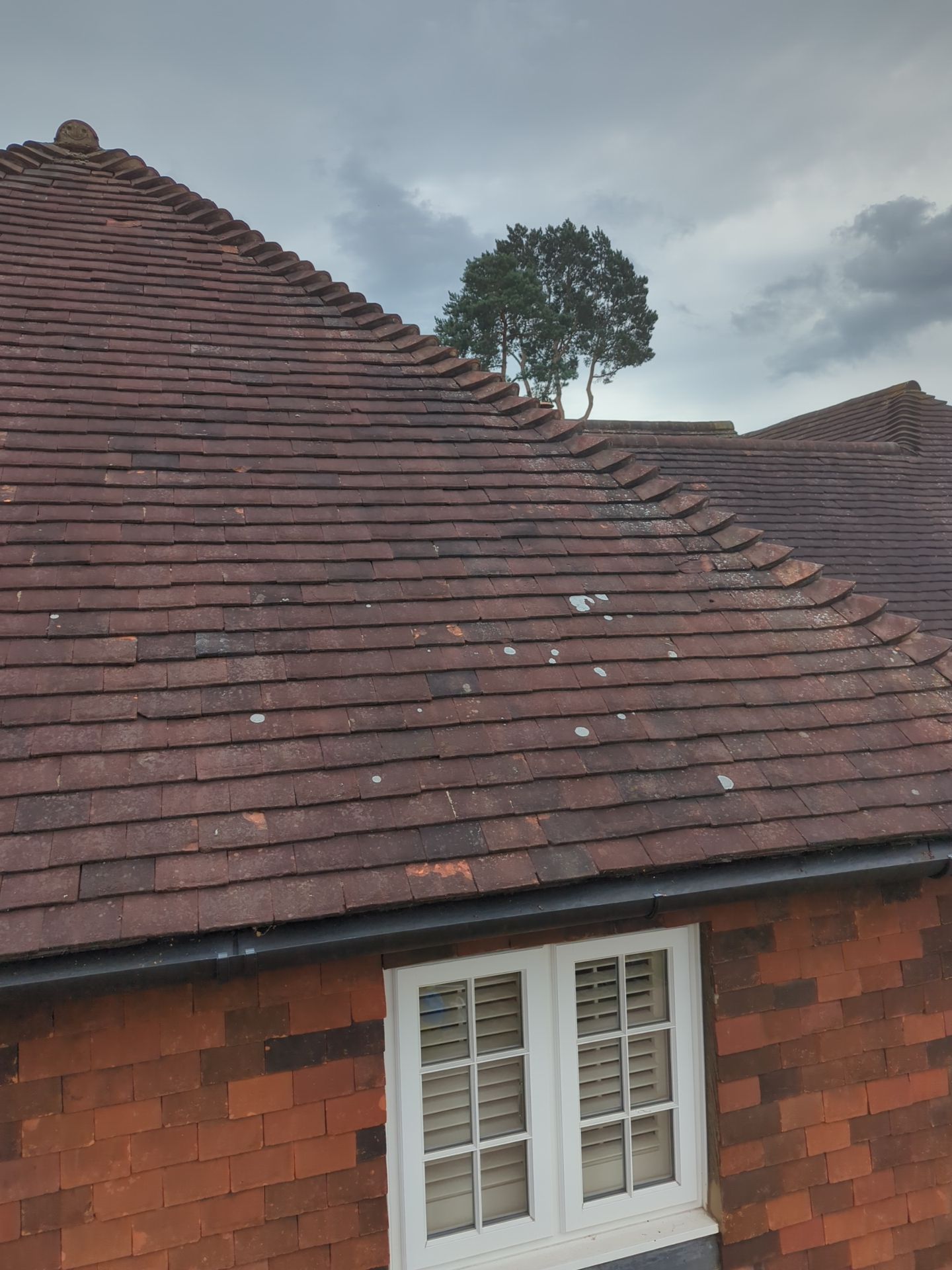 Roof Clean - Biocide Treatment using Honda 15lpm Low Pressure Washing Machine by Ges Exterior Cleaning ltd