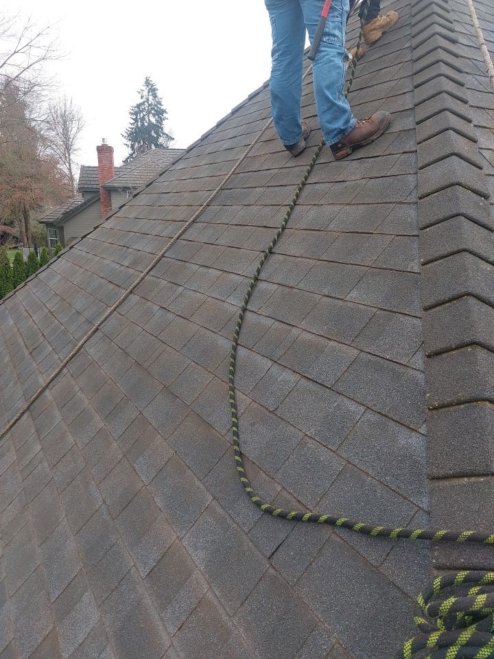 Roof Cleaning  using Moss Treatment  by BEST Roofing & Waterproofing