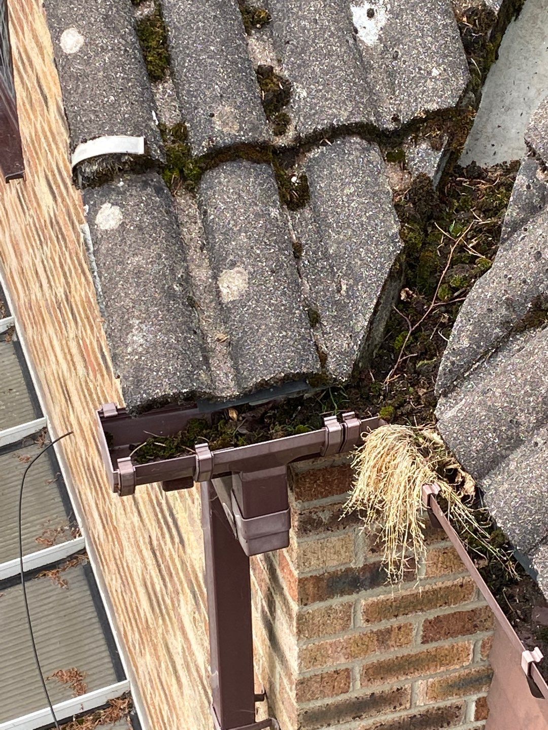 Roof Clean - Moss Removal using Honda 15lpm Low Pressure Washing Machine by Ges Exterior Cleaning ltd