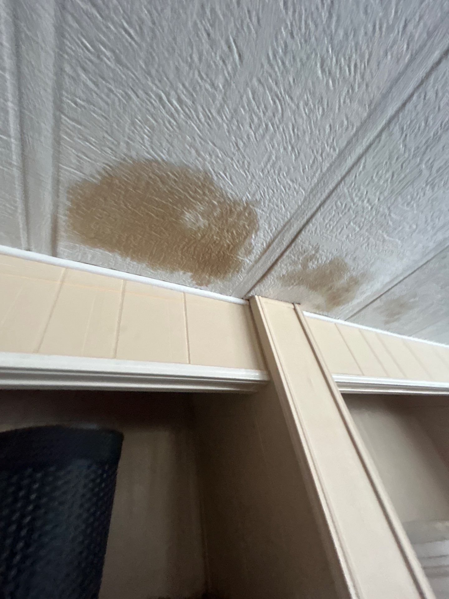 Mold Inspection And Repair In Bradenton by Ampm Restoration Services