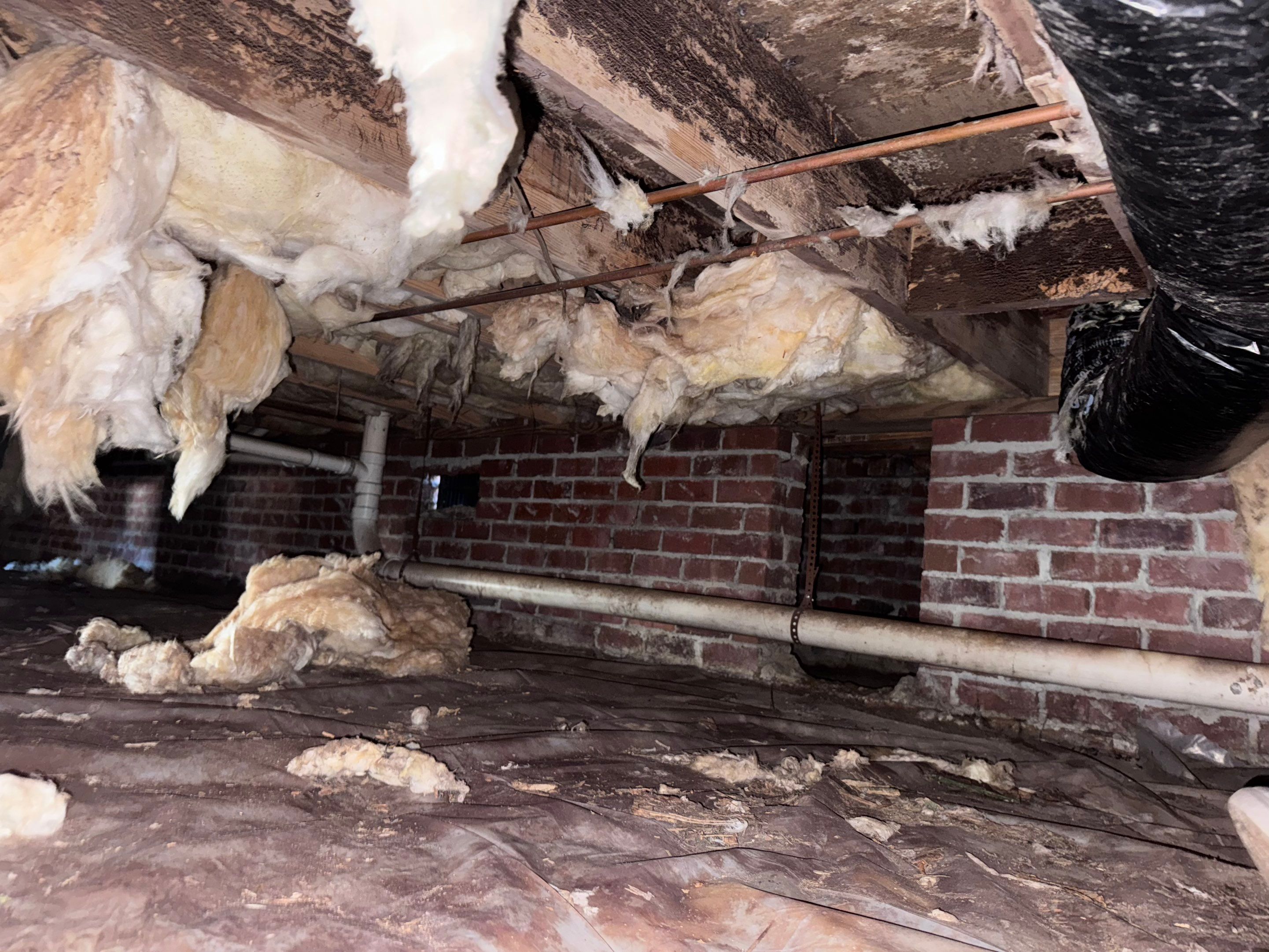 Structural Repairs inludiing sub-floor removal, new floor joists installed, girder replacmeent and dropped girder installed. by Impact Crawlspace