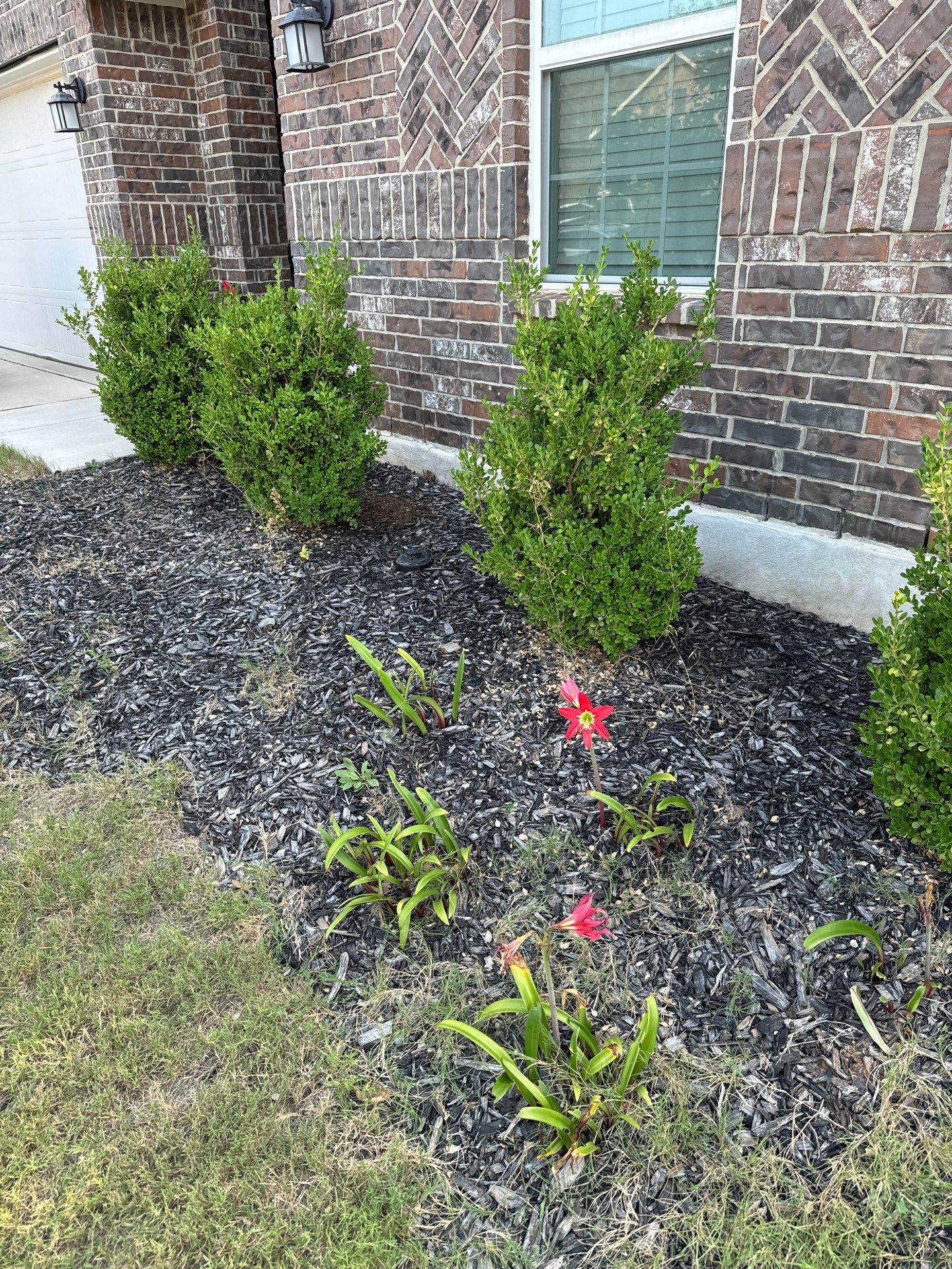 Wortham Oaks - San Antonio, TX by Hole In One Lawns, LLC