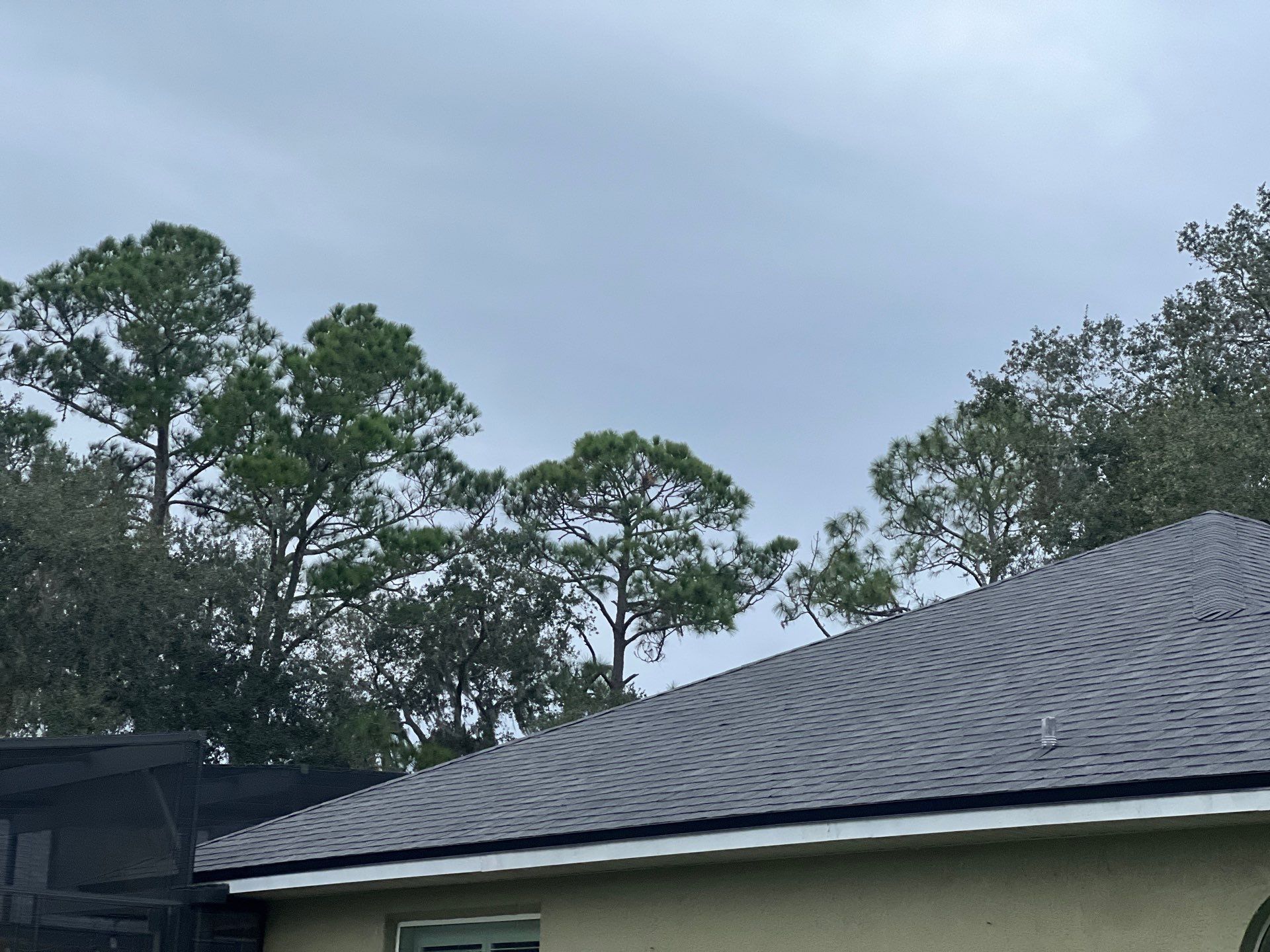 Shingle Reroof Replacement Osteen FL by Pinnacle Roofing Group