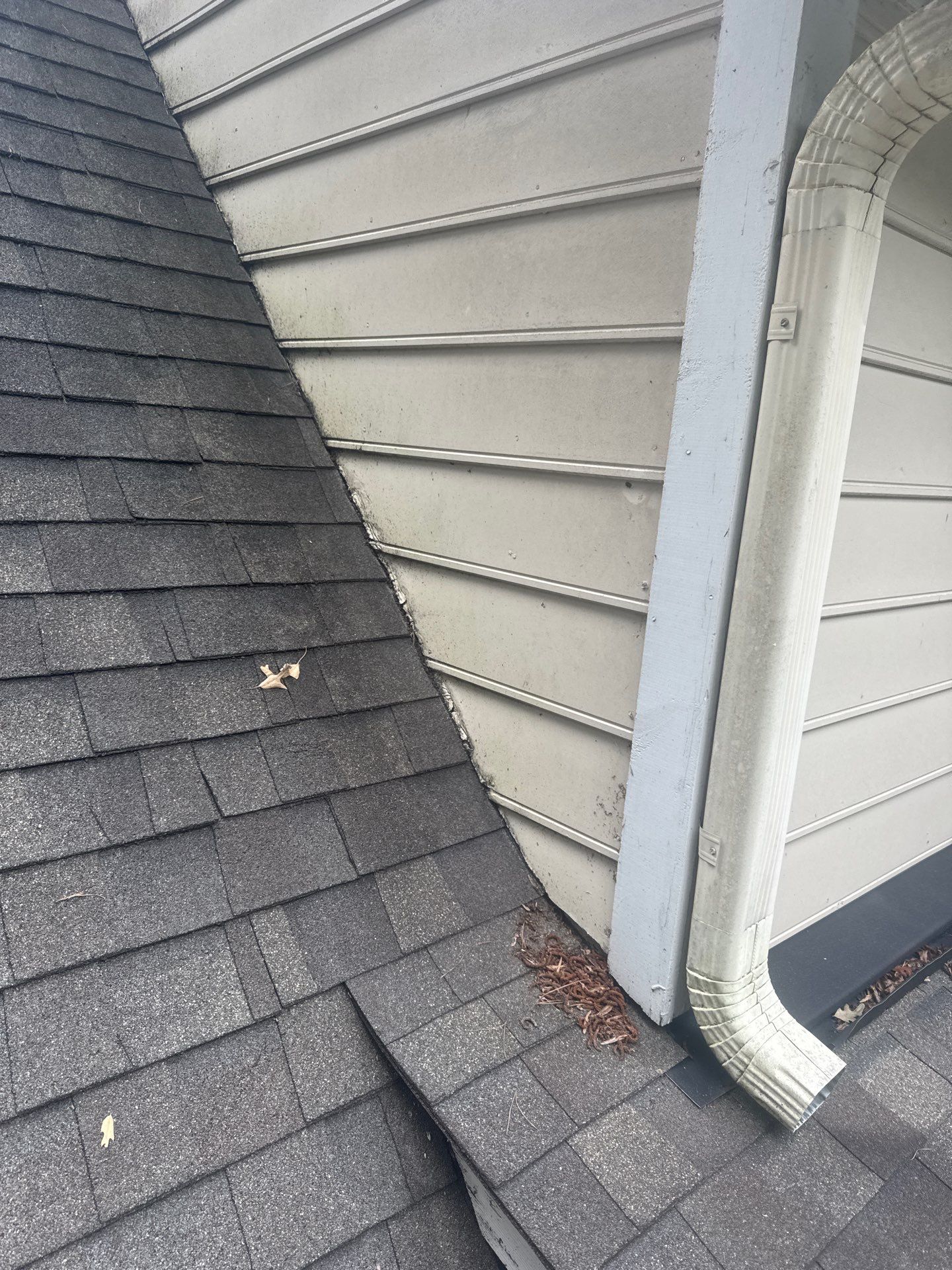Exterior Painting.  by GonzalezPainters & Contractors Inc 