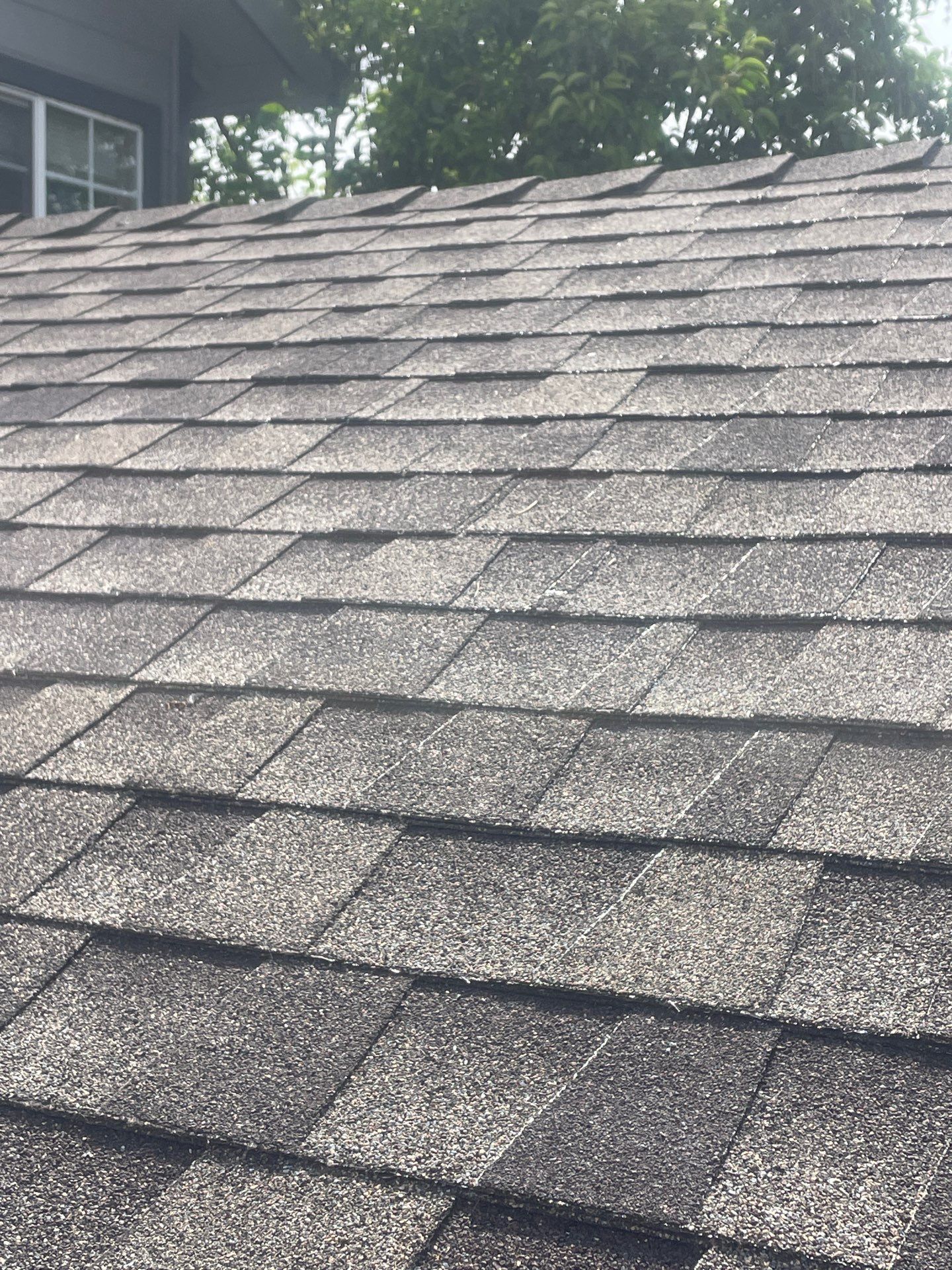 Roof Rejuvenation using Roof Maxx Treatment by Roof Maxx of Folsom
