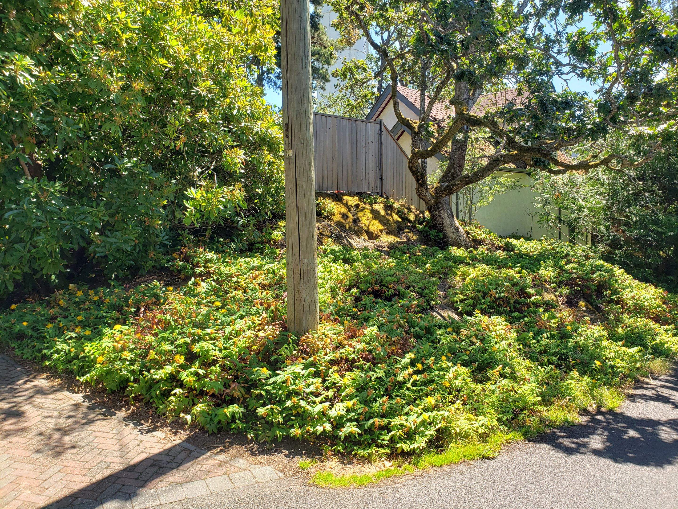 Residence in Rockland by Habanero Garden and Exterior Care