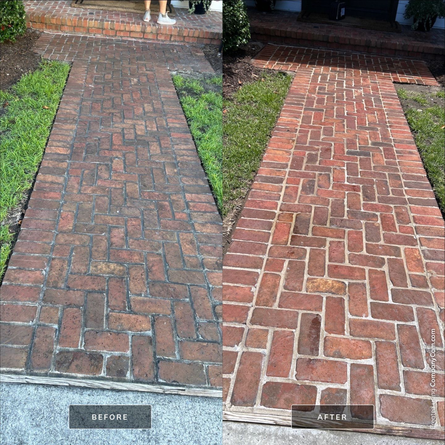 House and Surface cleaning in Wilmington by Shark Power Washing