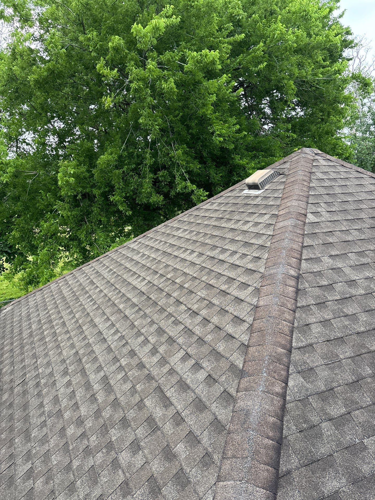 Roof Replacement Pasadena by Roof Repair Company