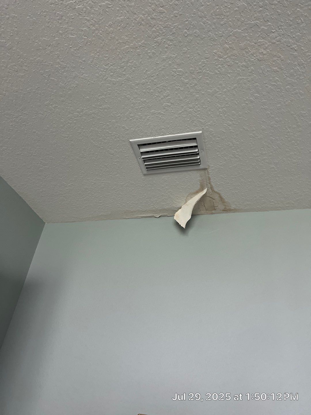 Mold Removal and treatment in Brandon, Florida by Ampm Restoration Services
