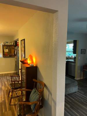Water Damage Claim in Dunedin