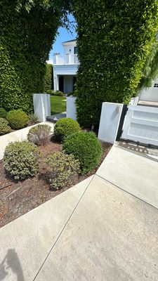 House wash in Newport Beach, Ca