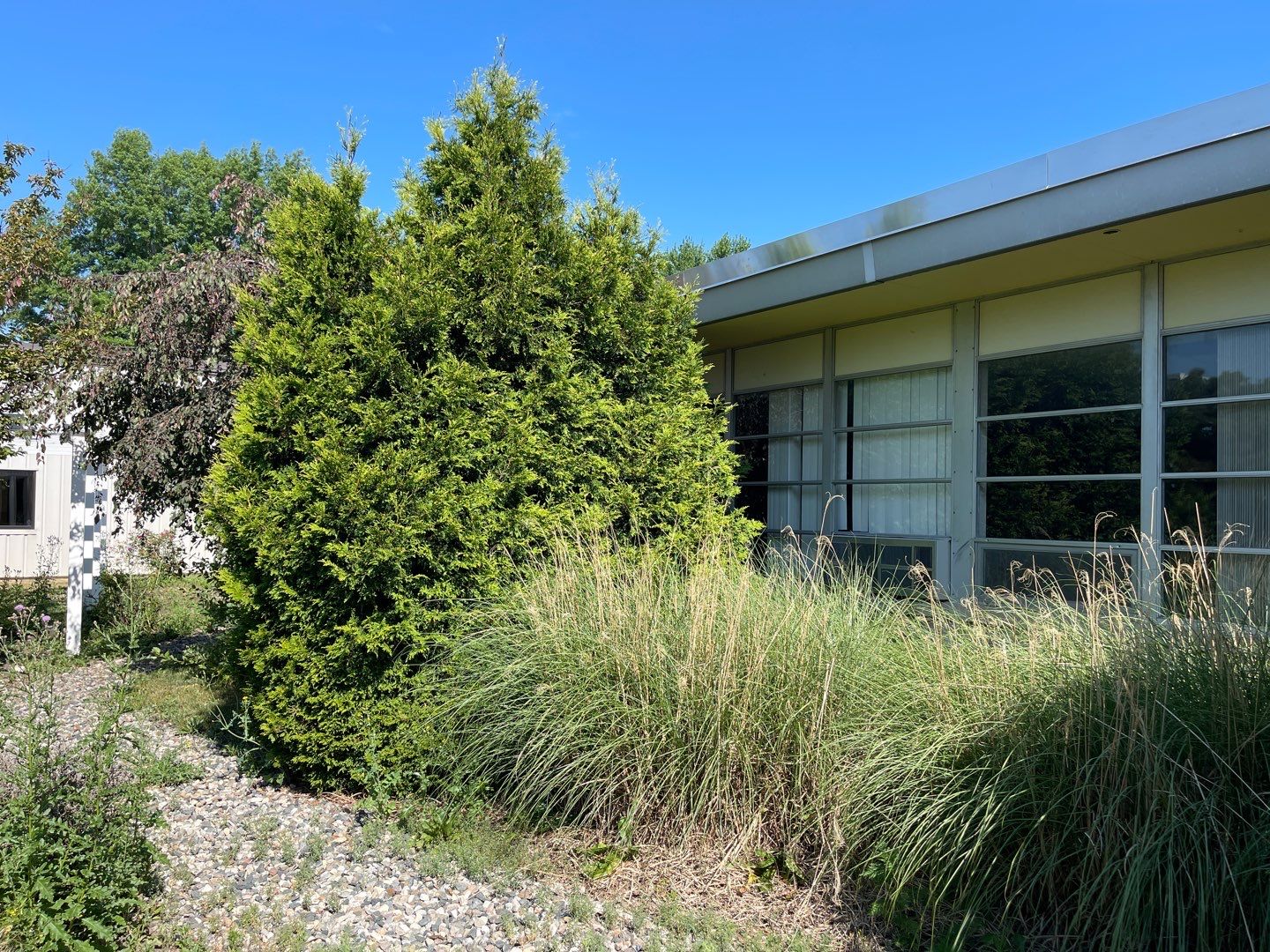 Courtyard Renovation  by Carrs lawn and landscape
