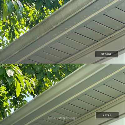 Project in Mundelein