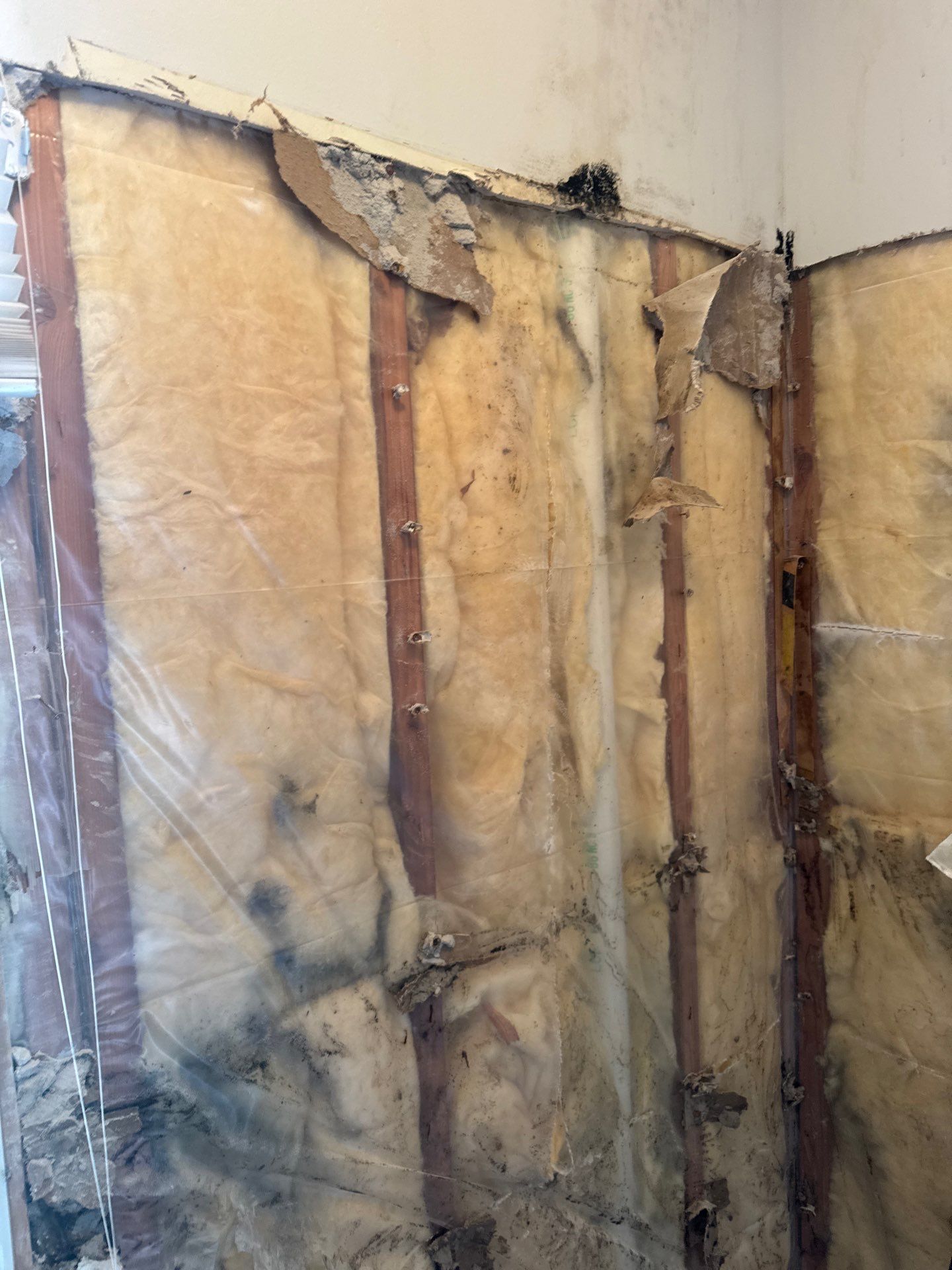 Mold Remediation and Water Damage Repair in Stonybrook, NY by Newhouse Restoration