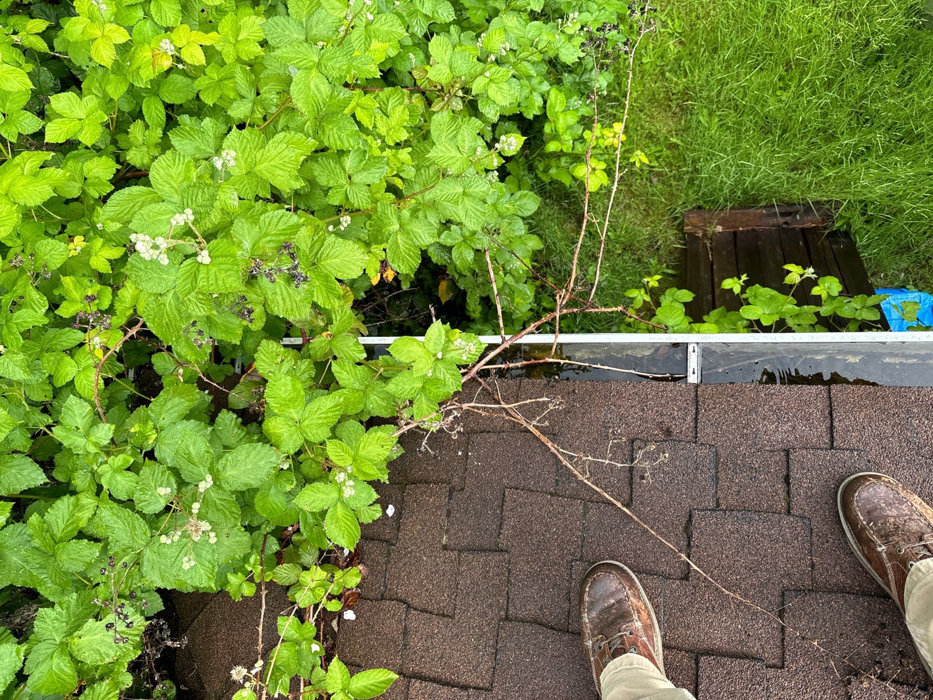 Project in Seattle by Peaks and Valleys Construction