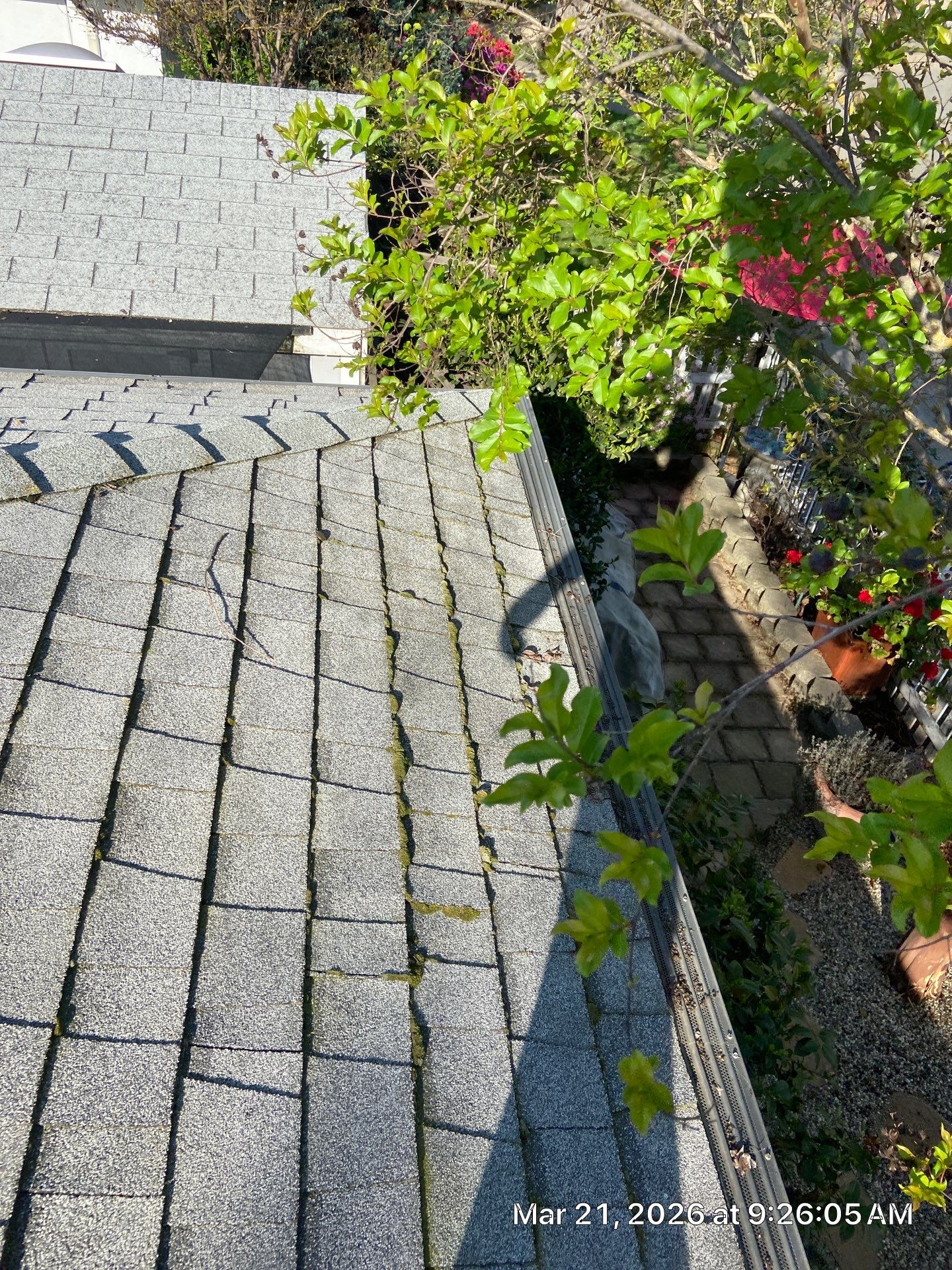 Roof Rejuvenation using Roof Maxx Treatment by Roof Maxx of Folsom