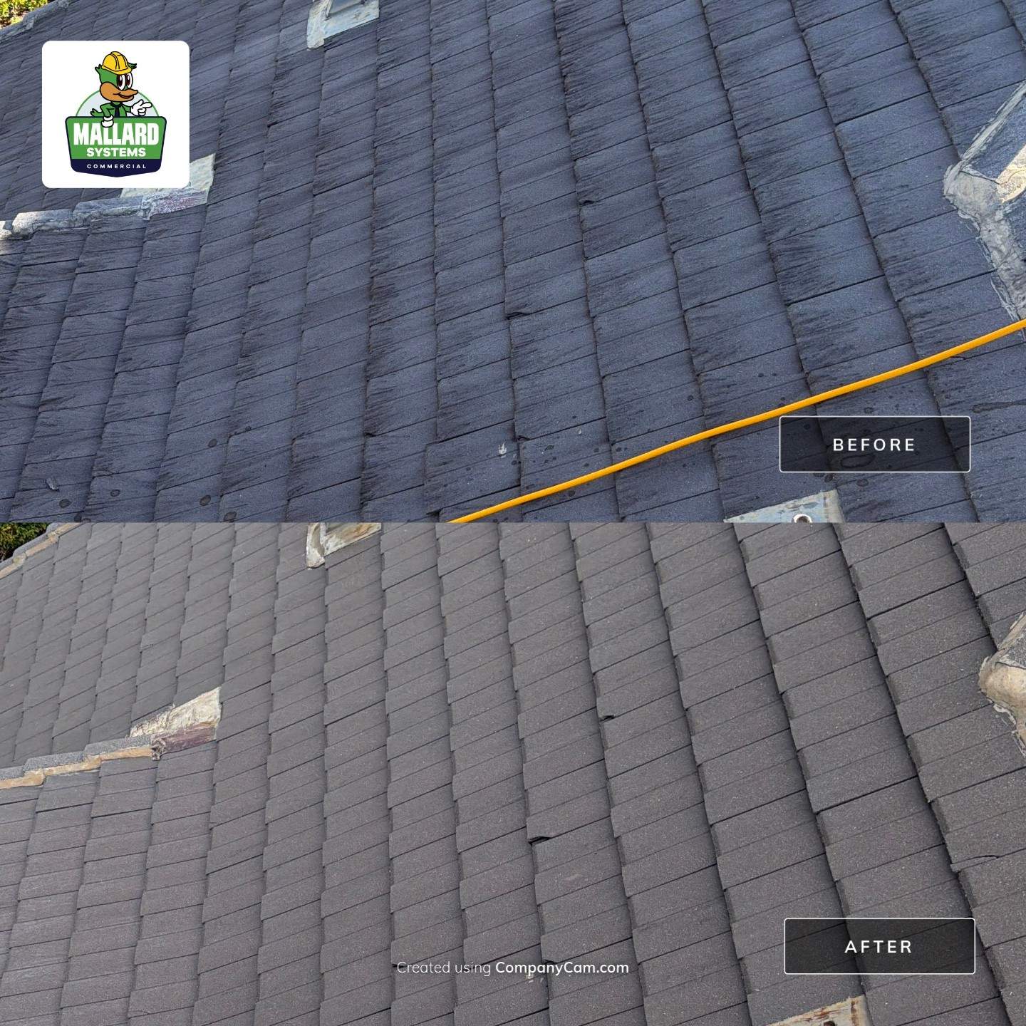Roof, Exterior, Driveway, Walkways, & Sidewalk Cleaning by Mallard Systems