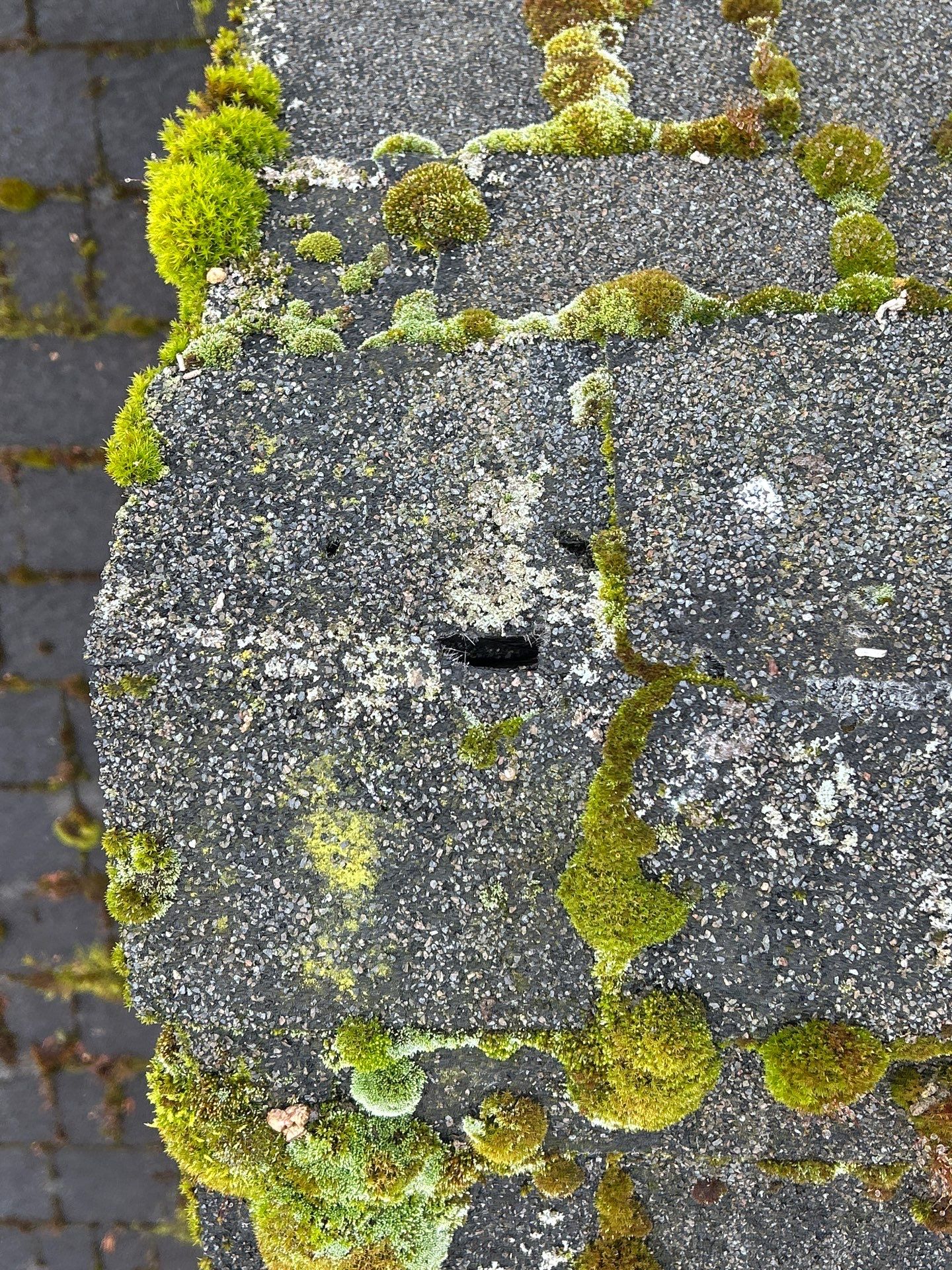 Project in Mill Creek by Connolly Construction Company