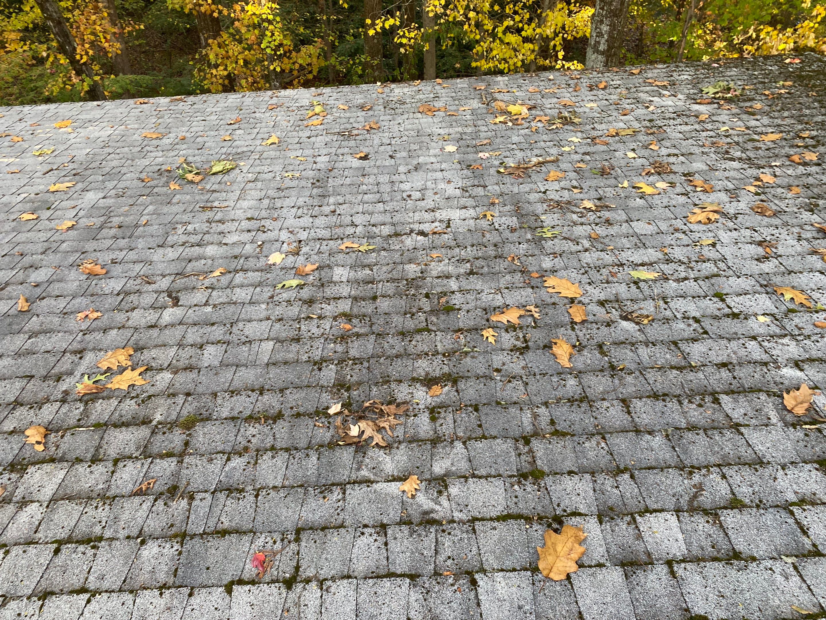 Roofing & Skylights | Concord by Mighty Dog Roofing of Greater Middlesex County