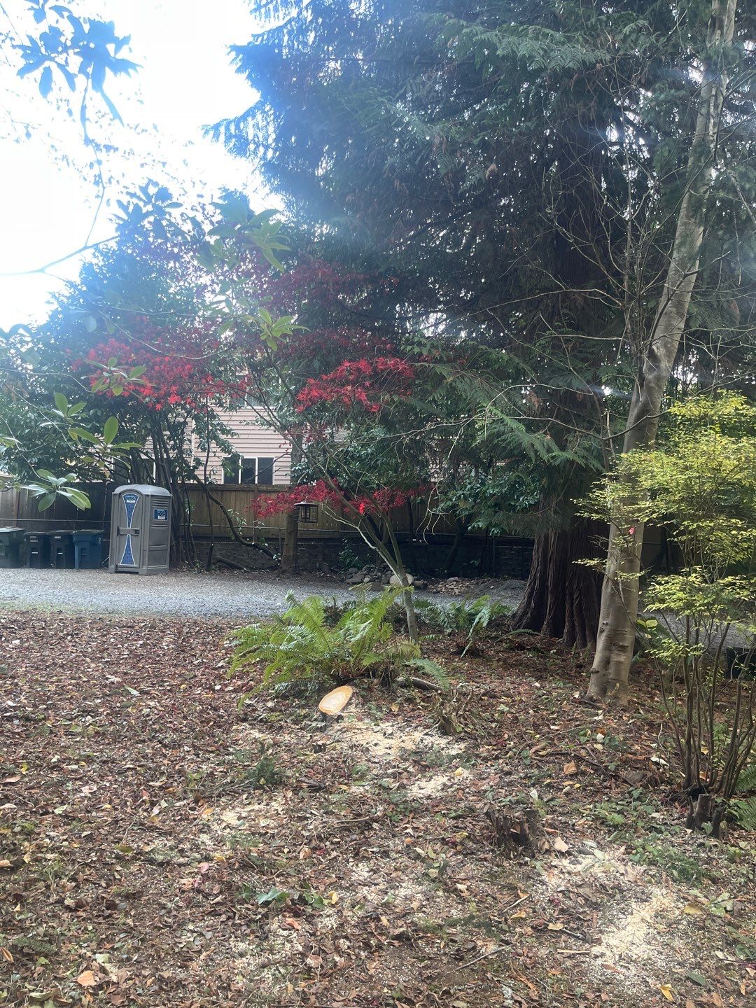 Tree Removal using Tree Removal by Mike Jones & Sons Tree Service LLC 