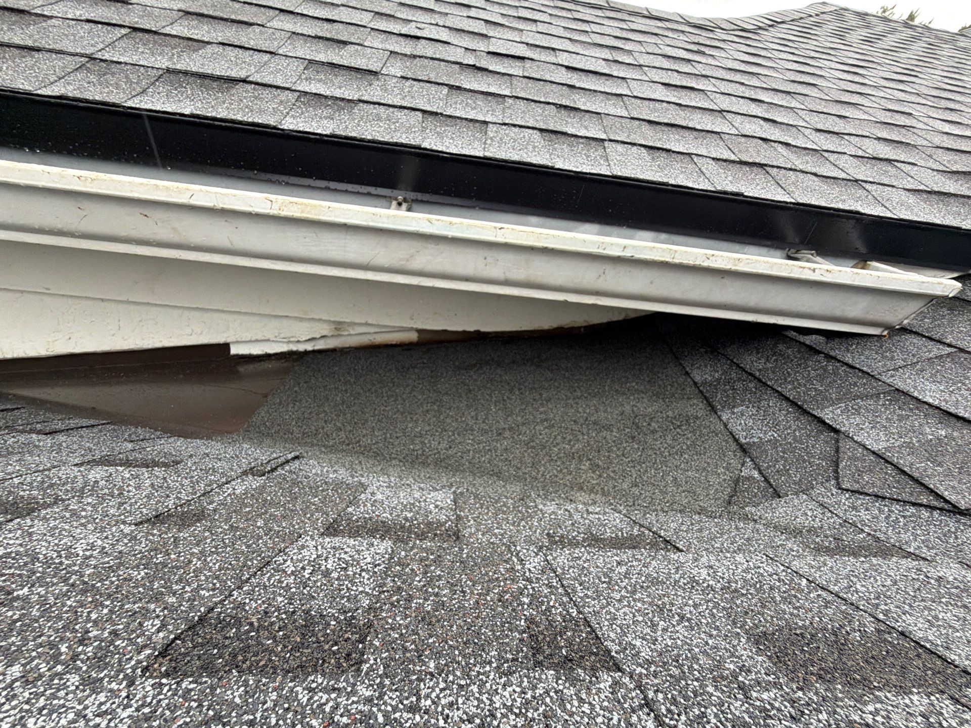 Project in Ponte Vedra by 1 Roof LLC