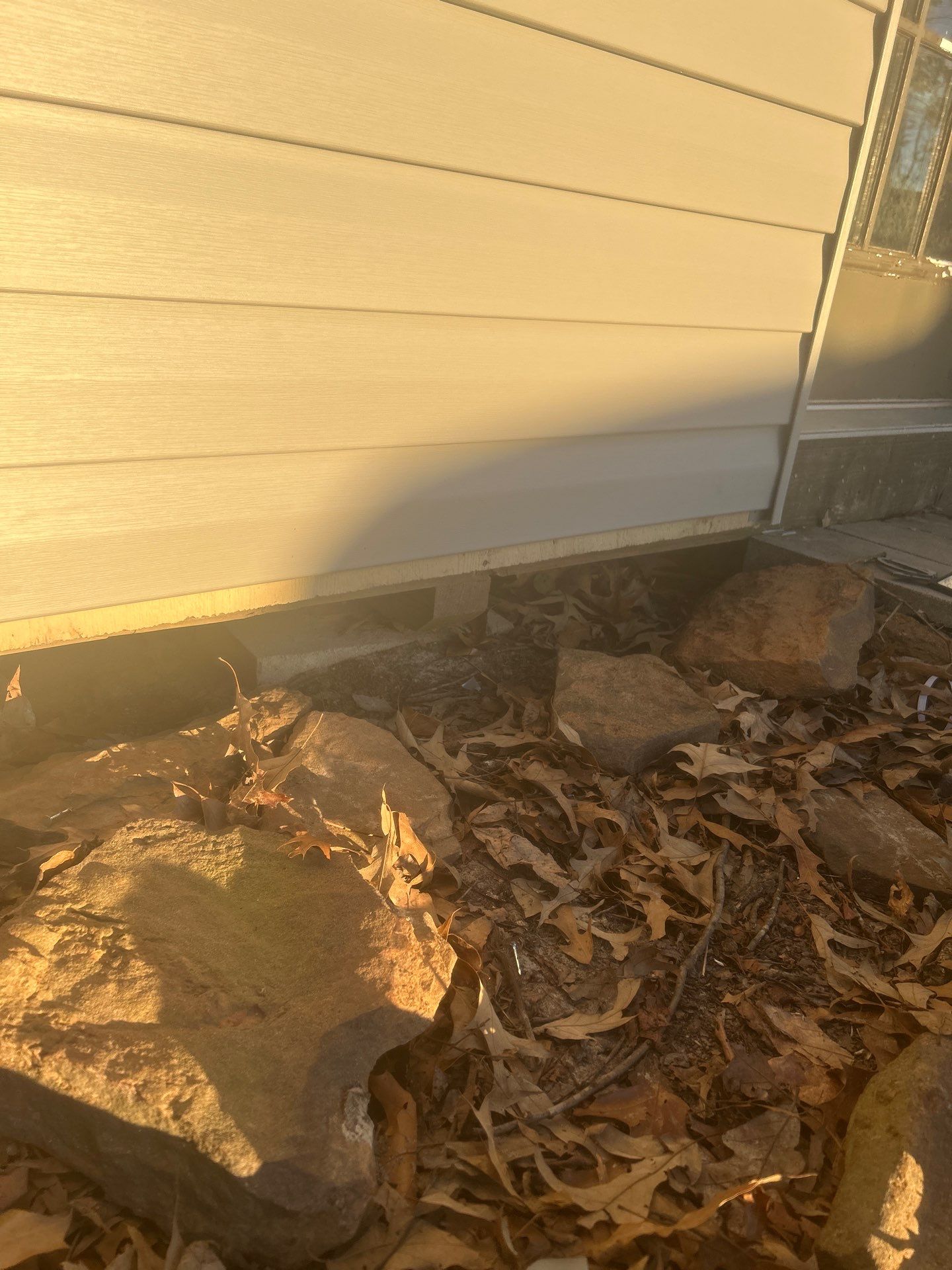 Residential Siding Repair in Bankston (Vinyl) by The Roofing Dudes
