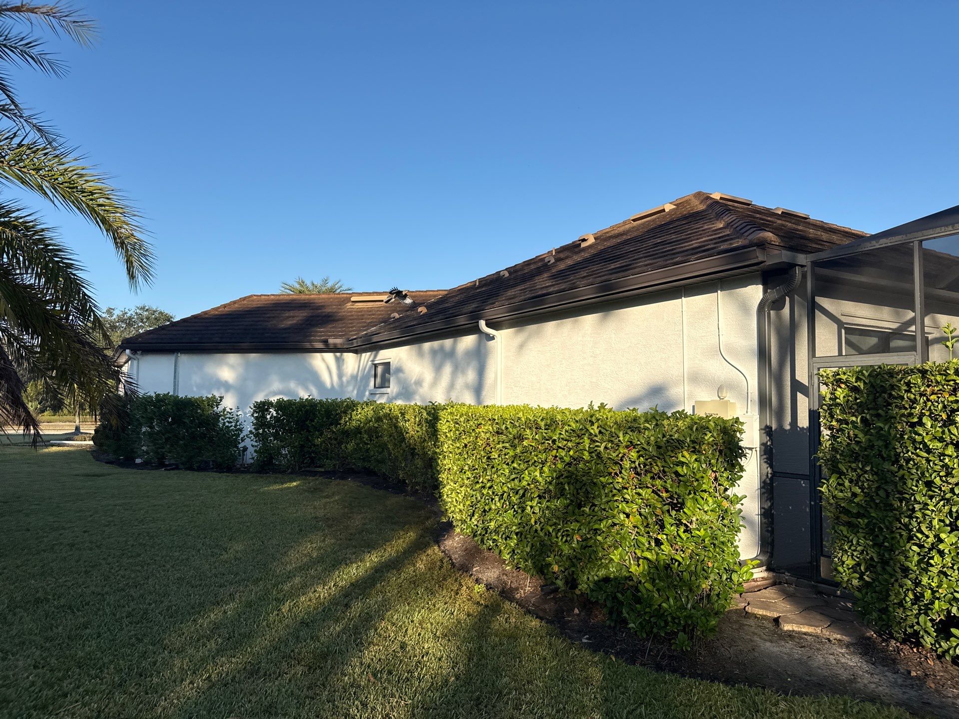 Flat Tile Roof, Paver Pool Deck & Driveway Cleaning | Cove at Twin Rivers, Parrish FL by Sunshine AquaWash