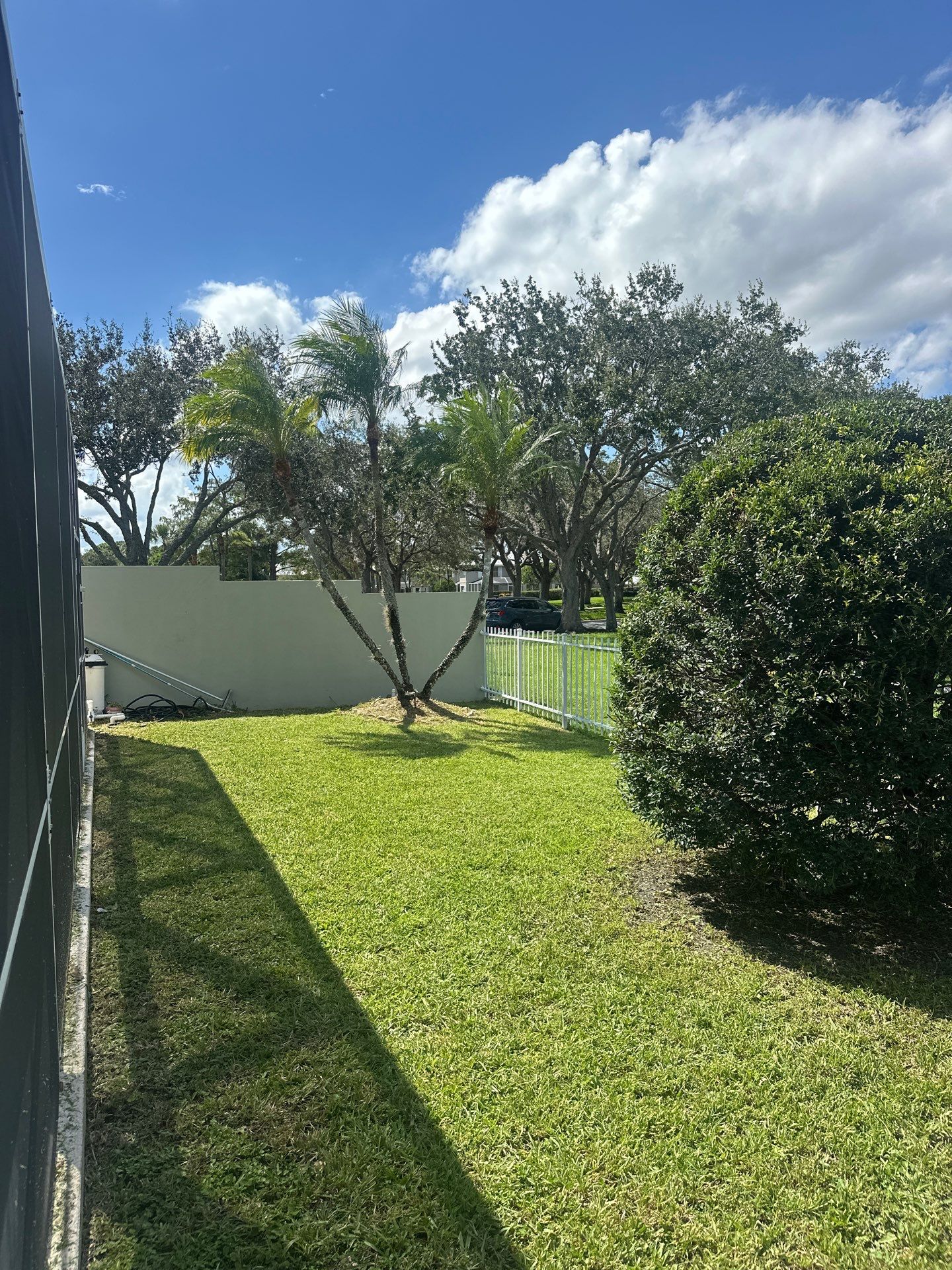 🌱 Evergreen Residential Cleanup — Palm City by Alpha Zeta Enterprises Inc