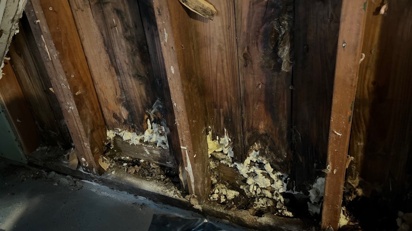 Water Damage by G2