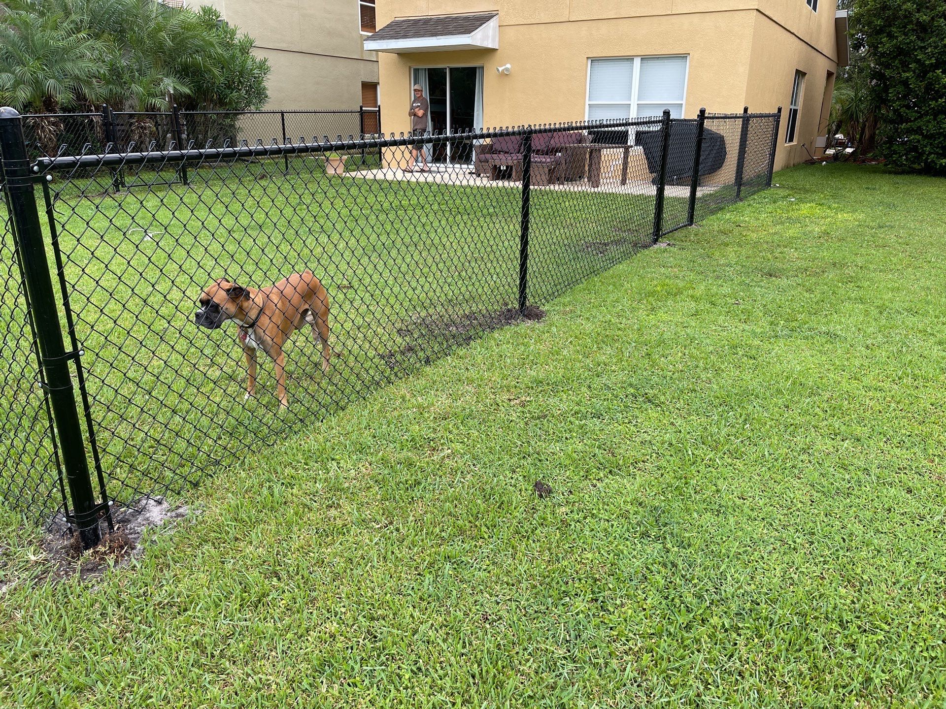 Bradenton, FL  4 ft. Tall Black Chain-link Fence by Asap fence and gates, LLC