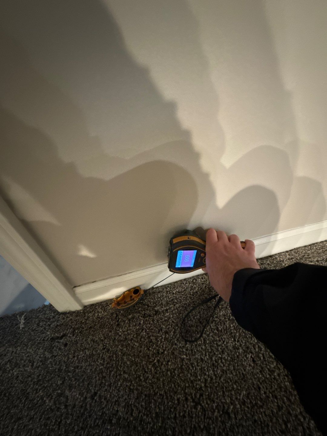 Project in Royal Oak by EzDry Water Mitigation & Property Restoration