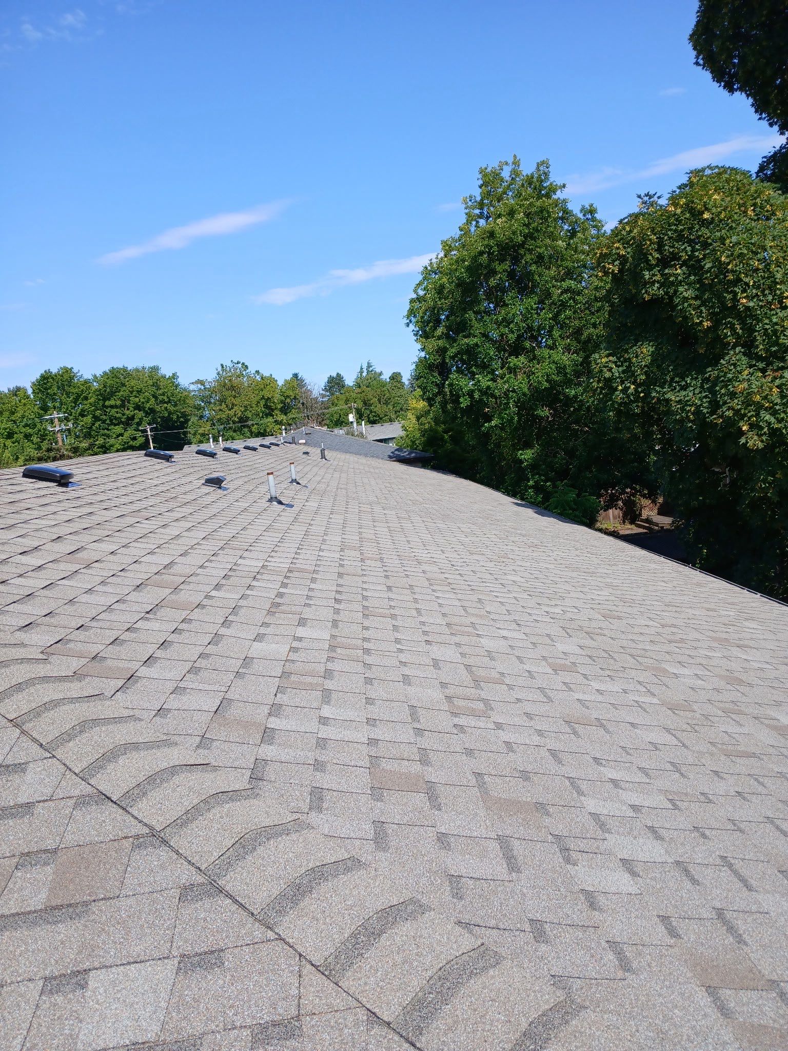 Commercial Roofing Installation using Asphalt Shingles by Vitan Construction LLC 