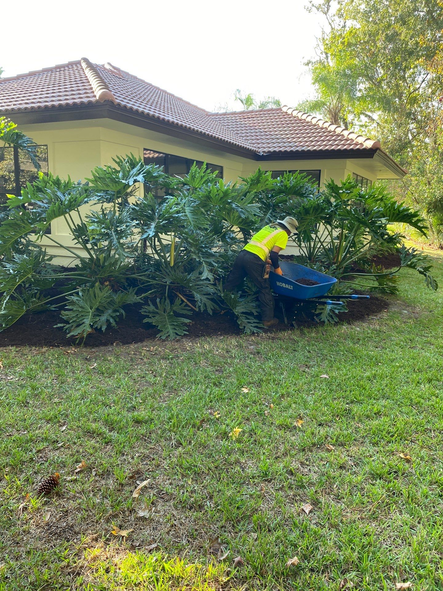 Deerwood Residence | Sod Repair & Mulch Installation  by ProGreen Services