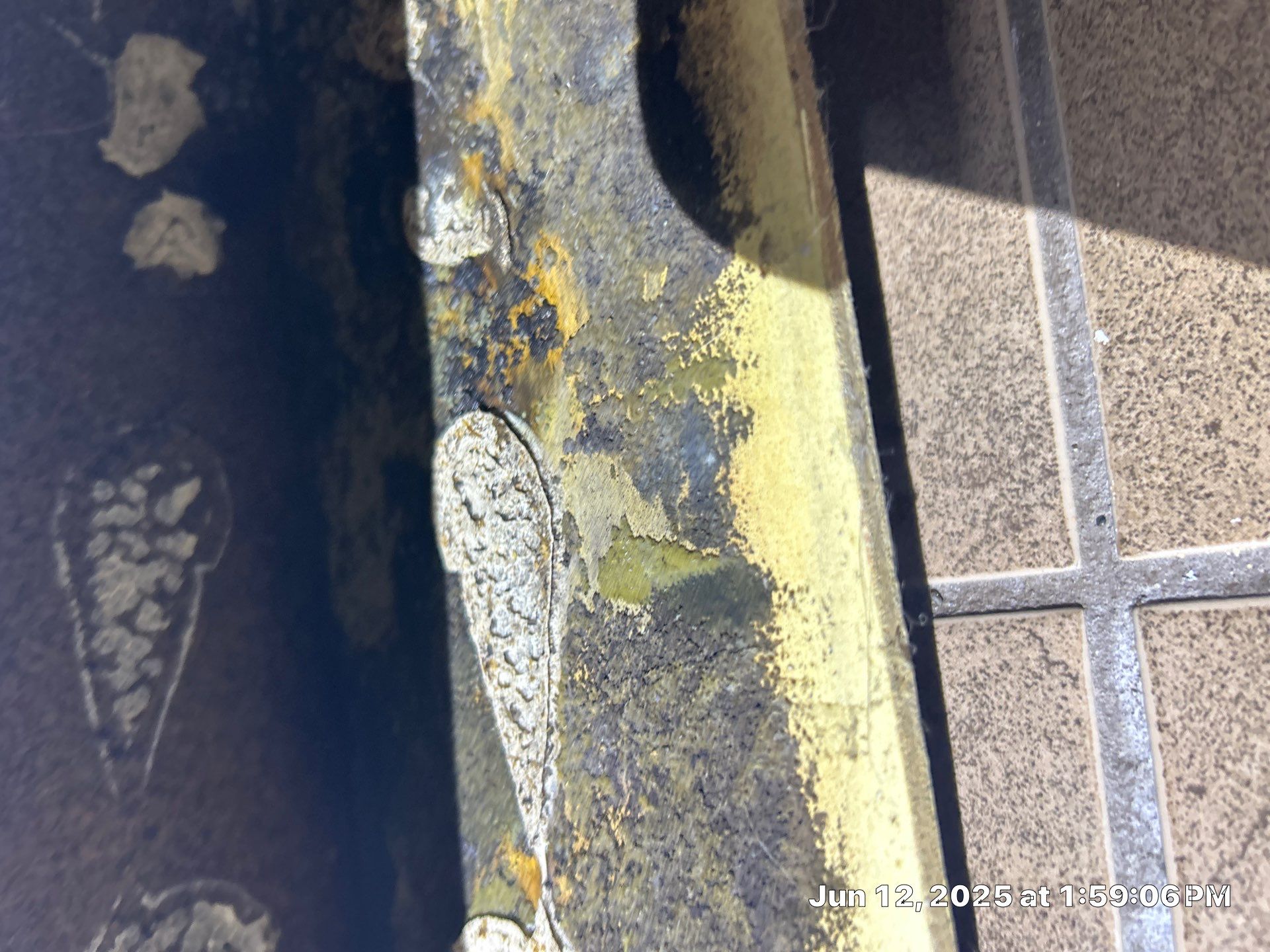 Commercial Mold Damage In Sarasota by Ampm Restoration Services
