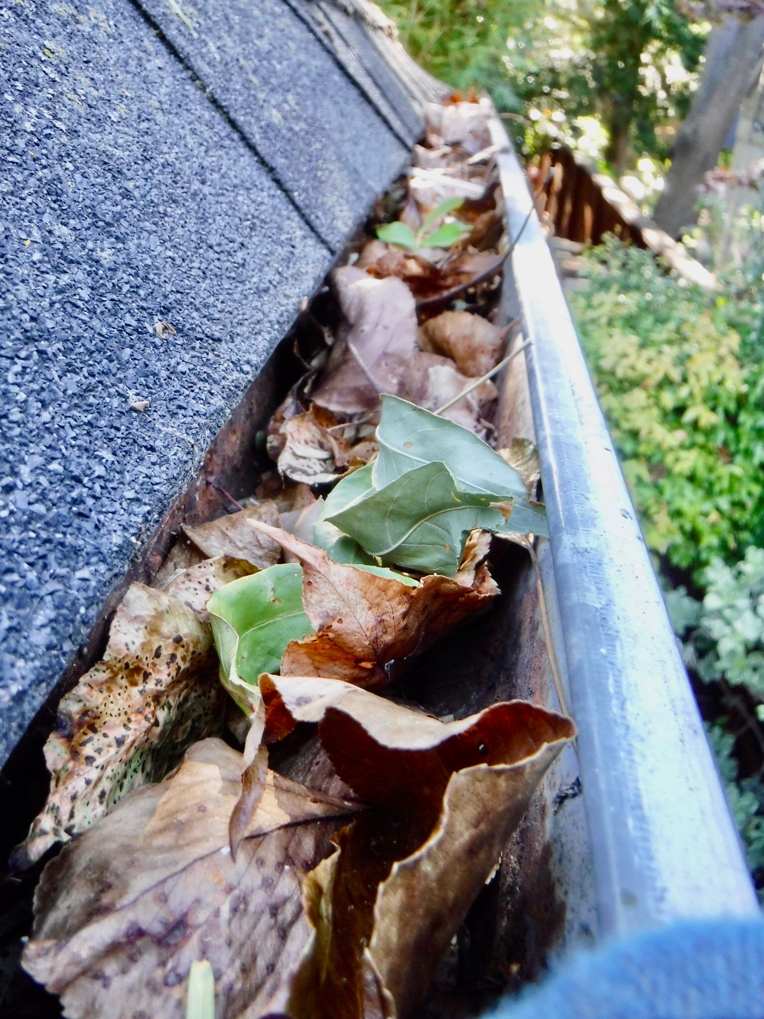 Gutter Installation using Englert LeafGuard Gutters by Byers Enterprises 